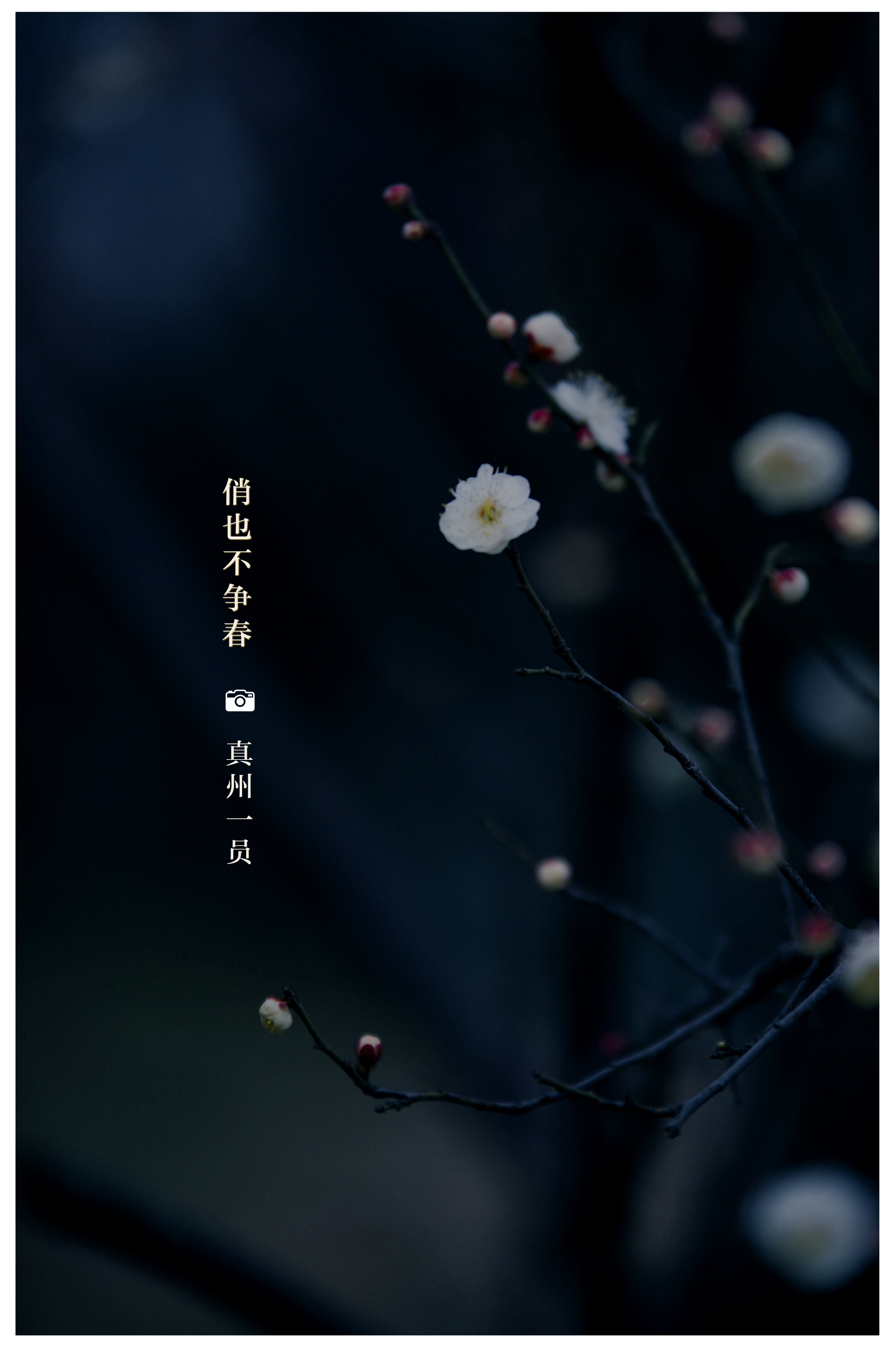 _MG_8494_mix02.jpg