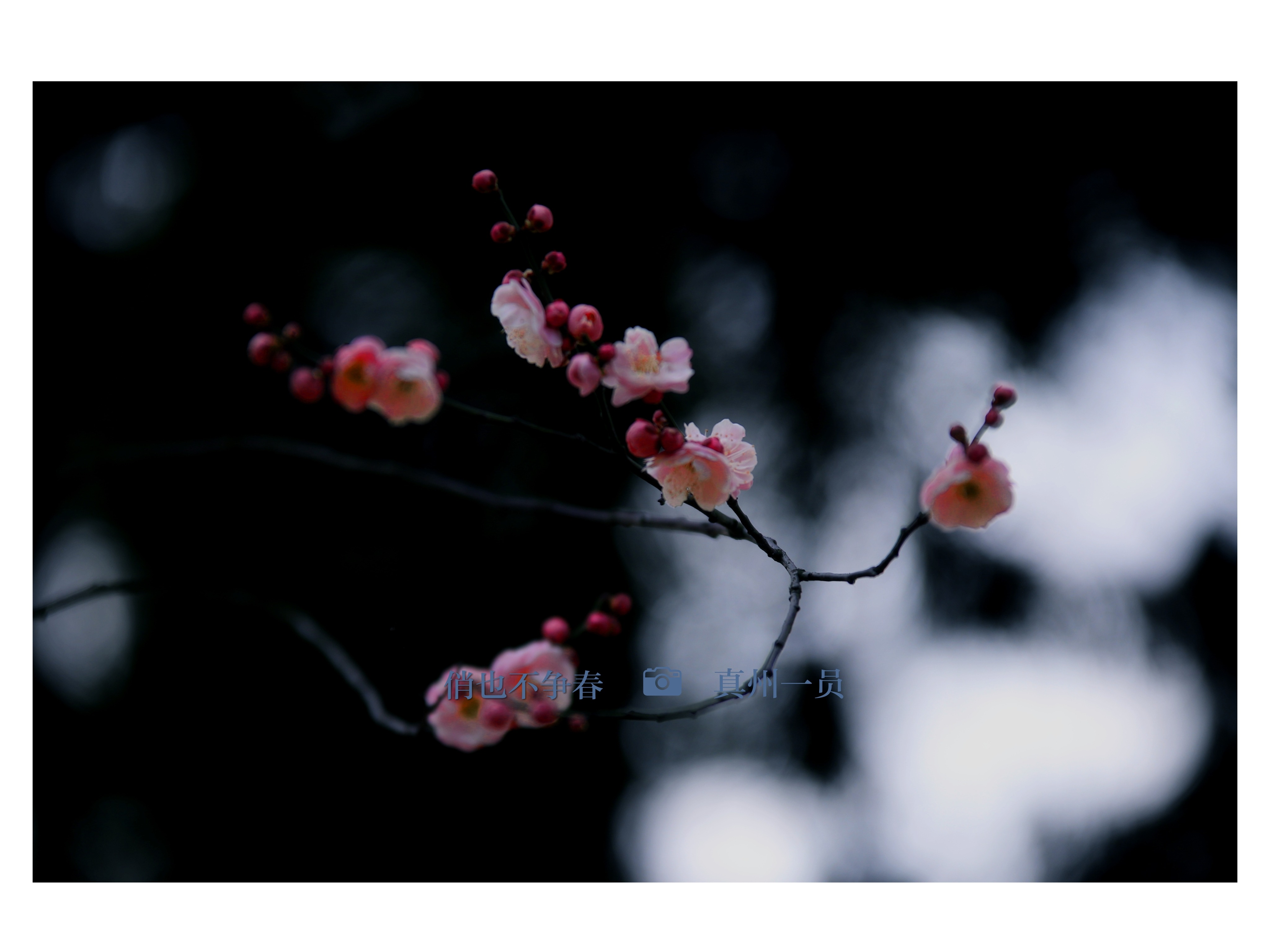 _MG_8509_mix01.jpg