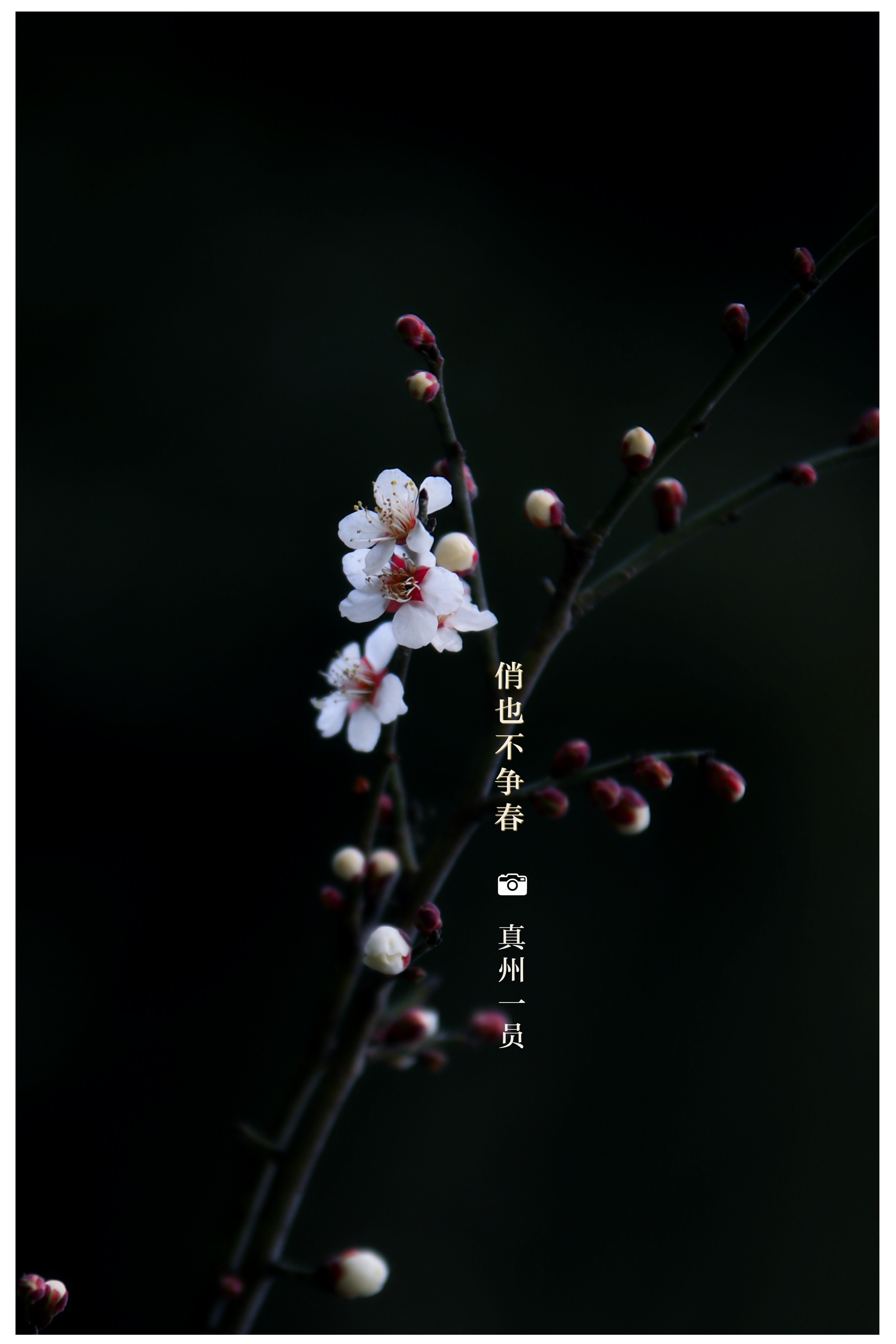 _MG_8518_mix01.jpg