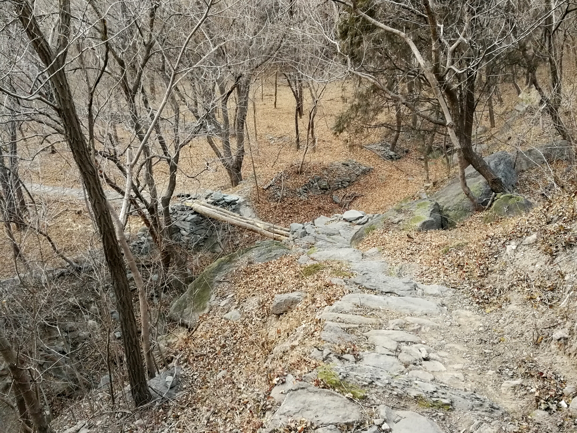 山间小路.jpg