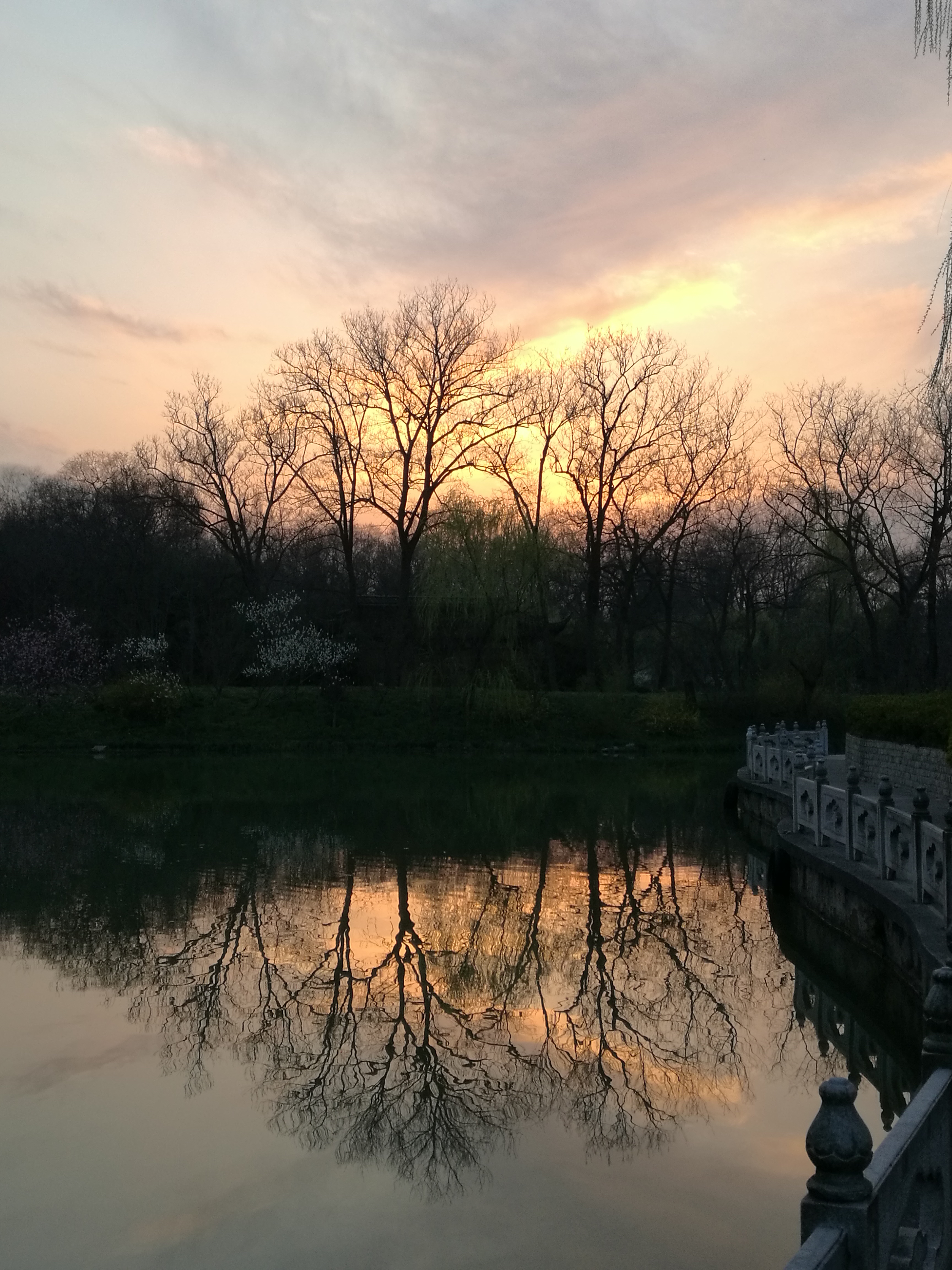 IMG_20190316_180535.jpg