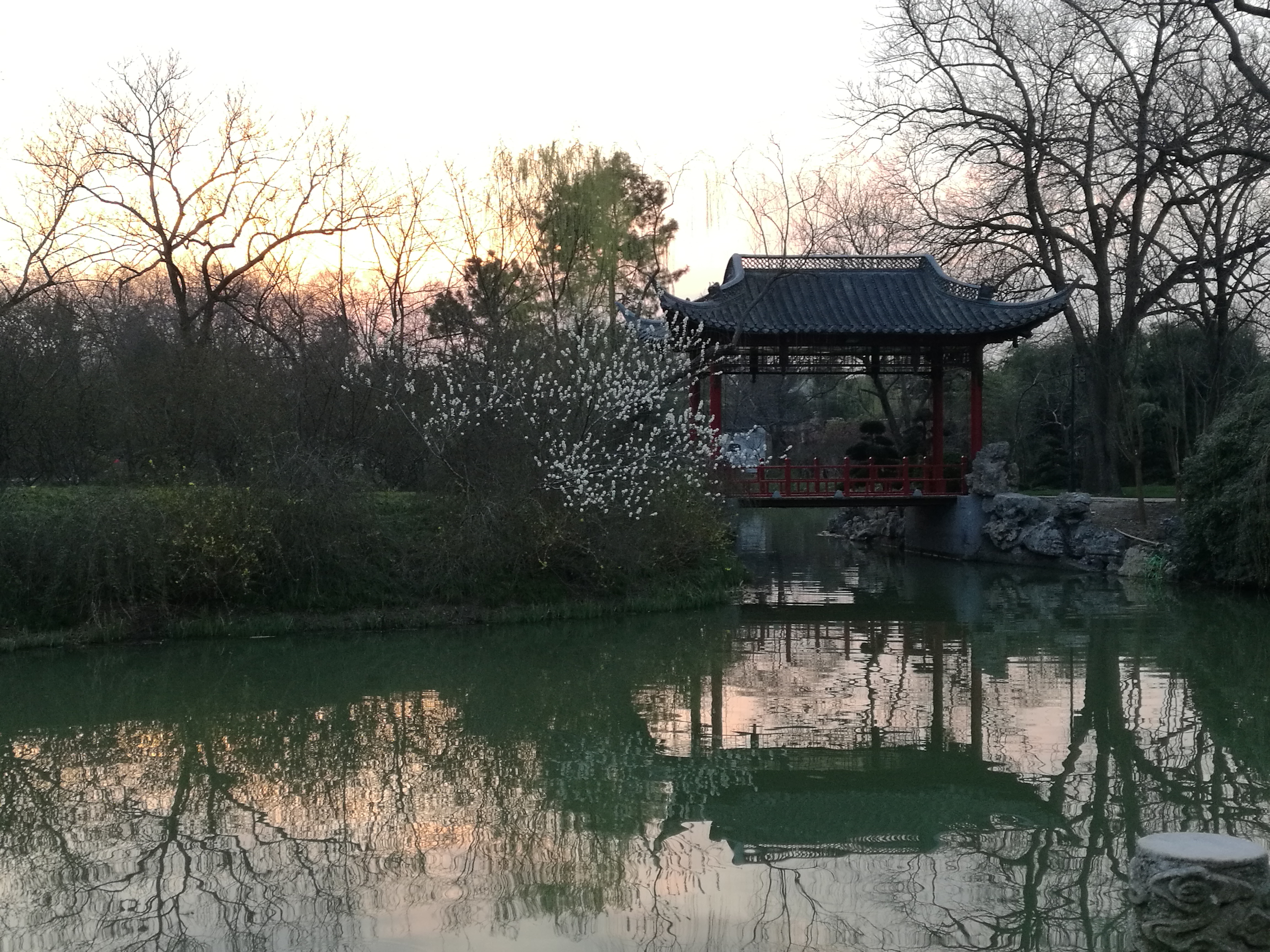 QQ图片20190316221907.jpg