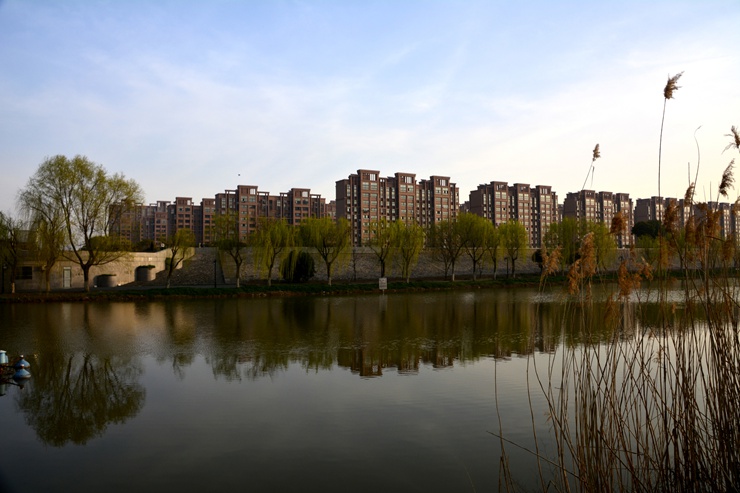 _DSC5057.JPG