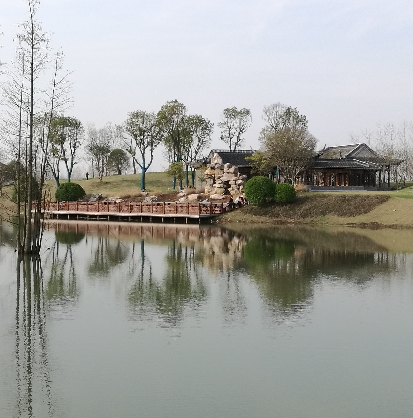 IMG_20190323_211551.jpg