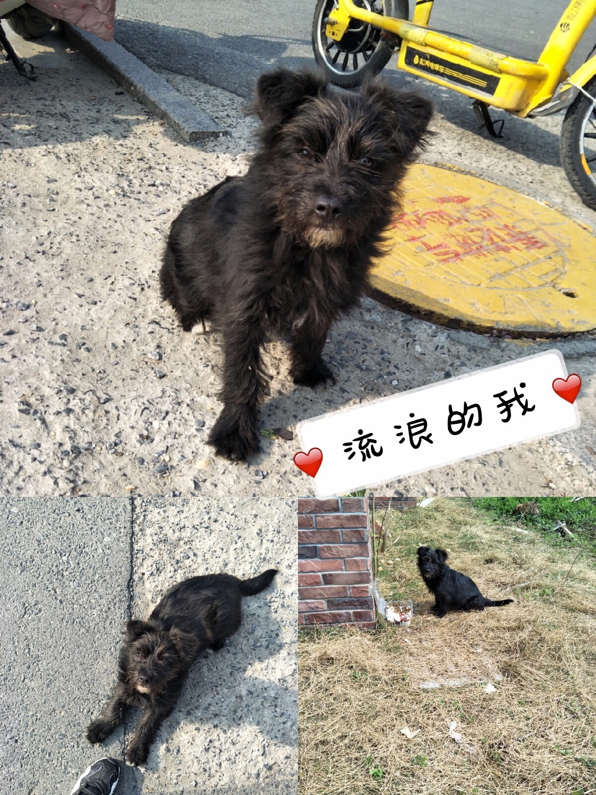 pt2019_03_24_19_39_42_mh1553427680319.jpg