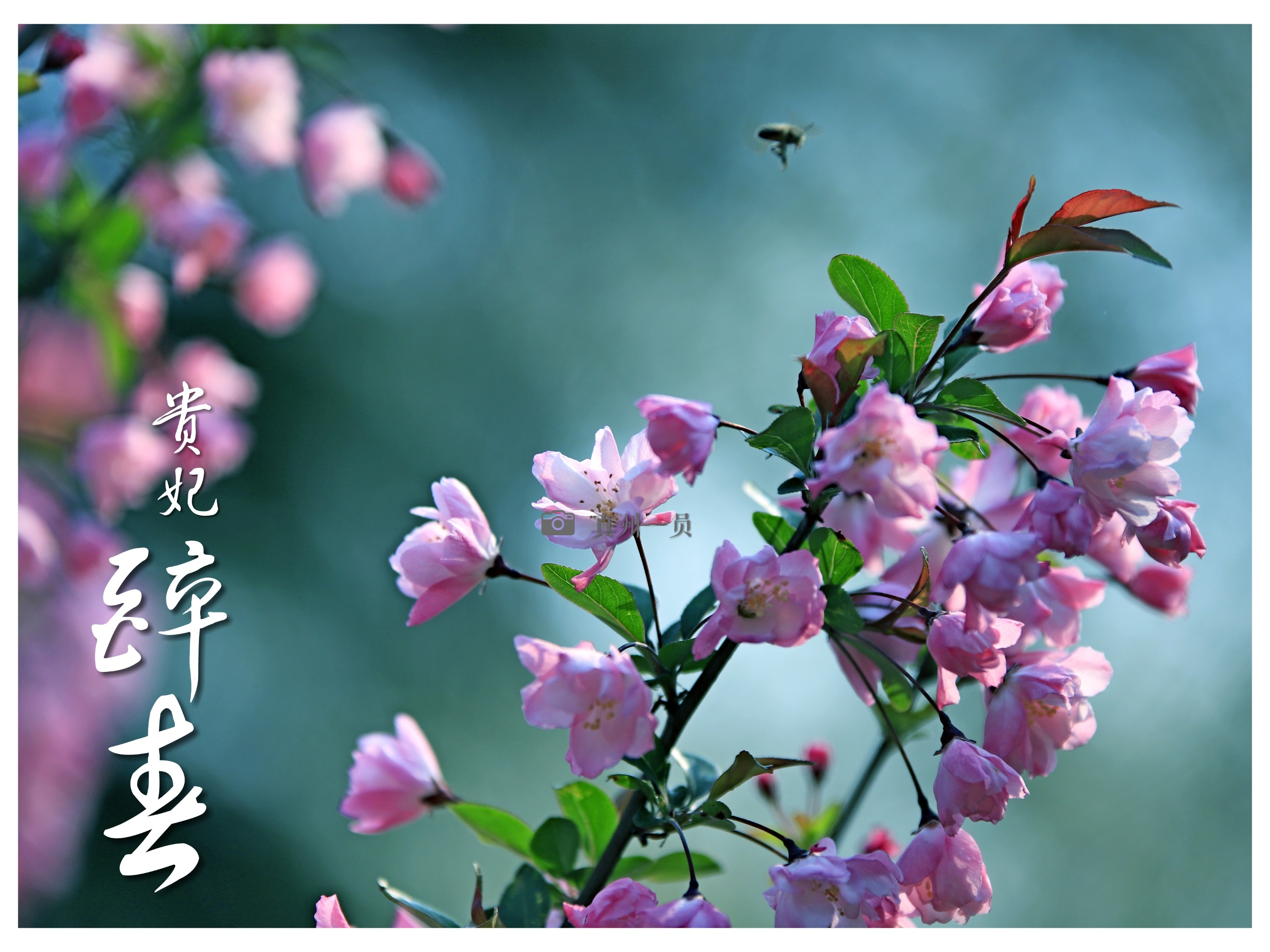 _MG_9468_mix01.jpg