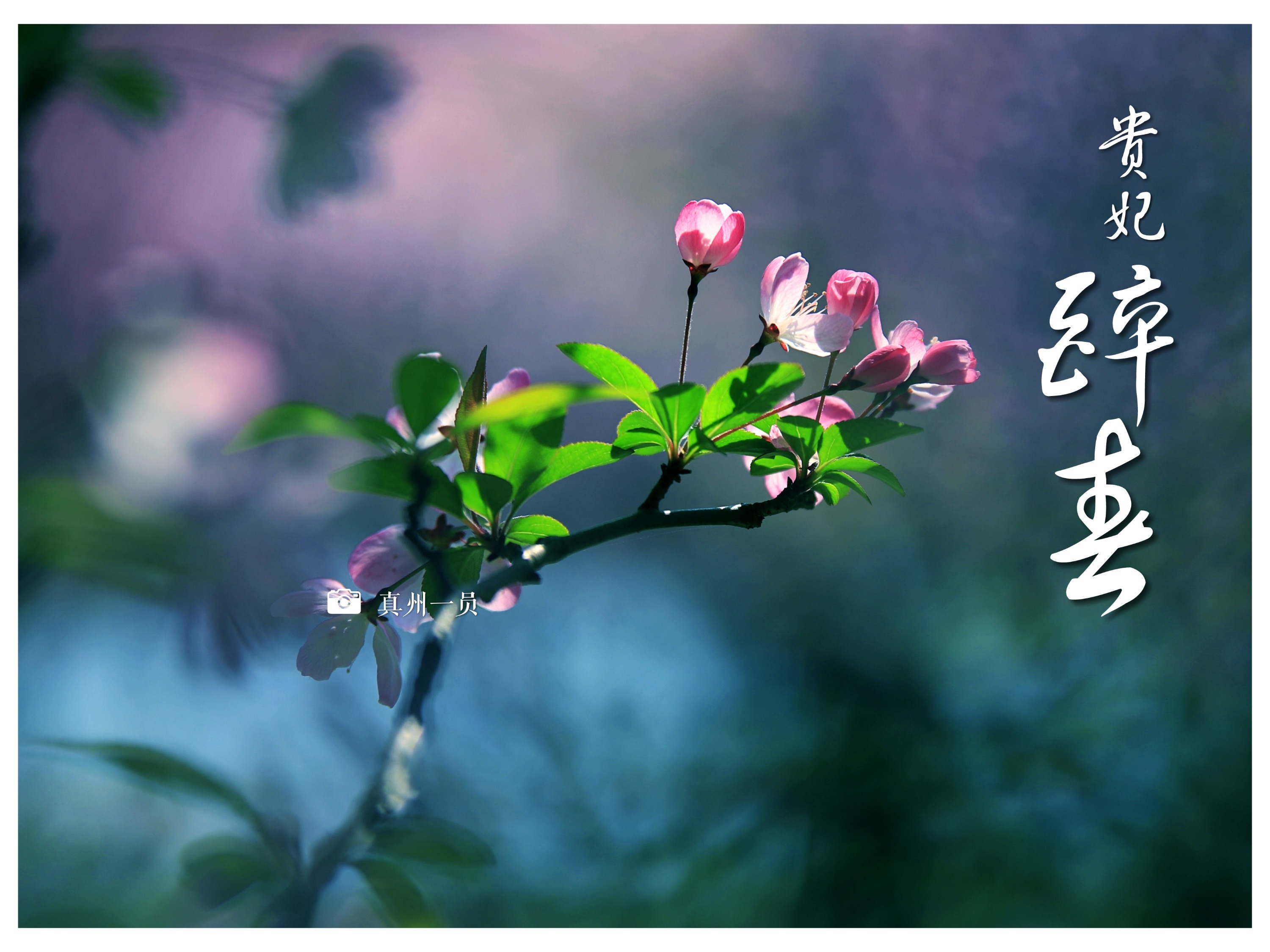 _MG_9485_mix01.jpg
