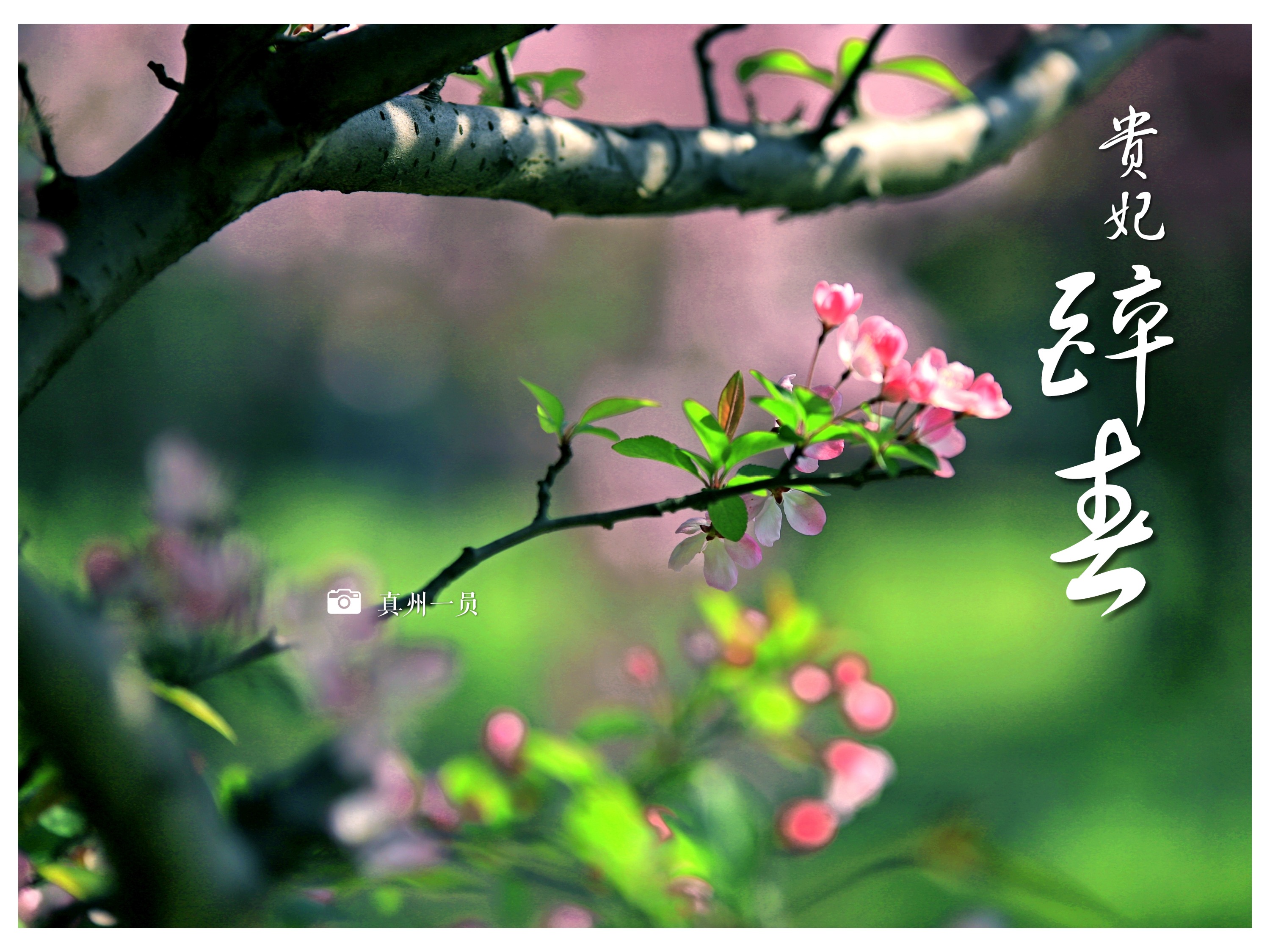 _MG_9480_mix01.jpg