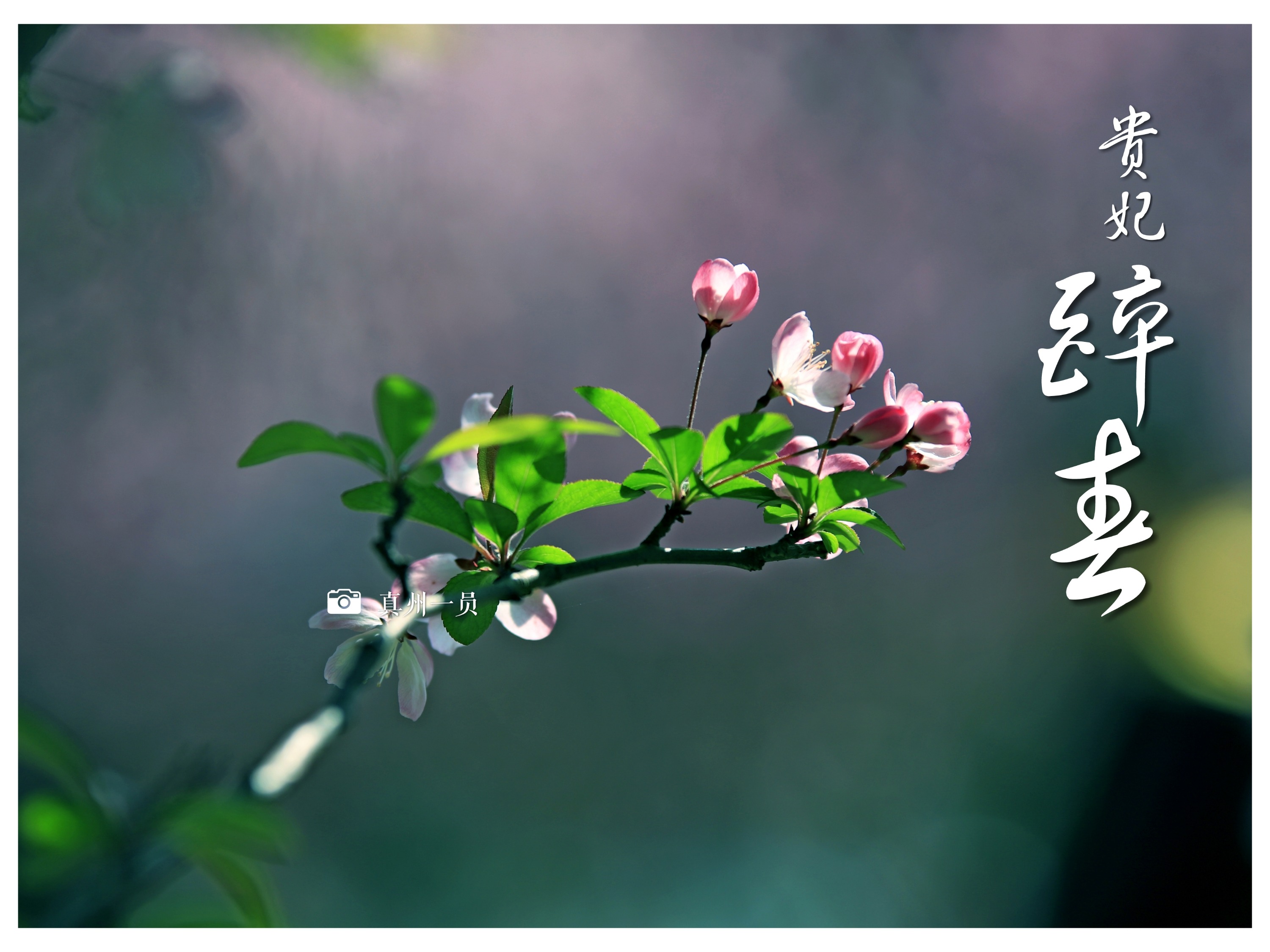 _MG_9487_mix01.jpg