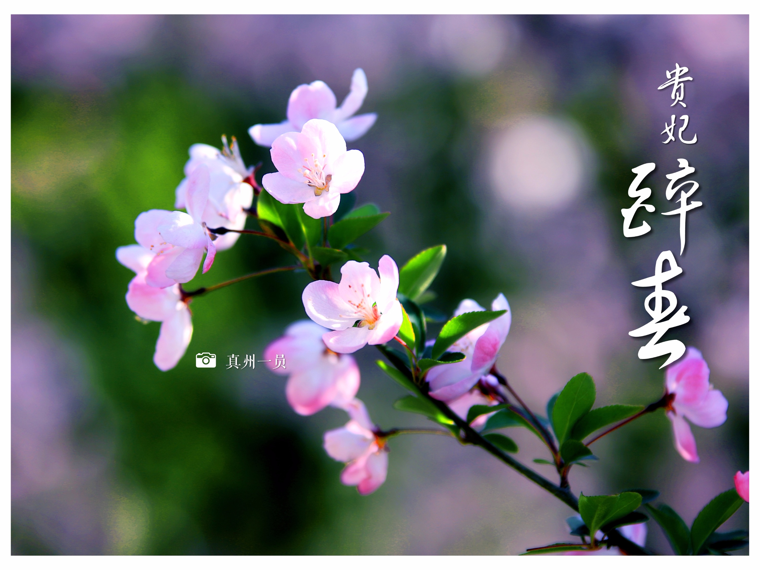 _MG_9496_mix01.jpg