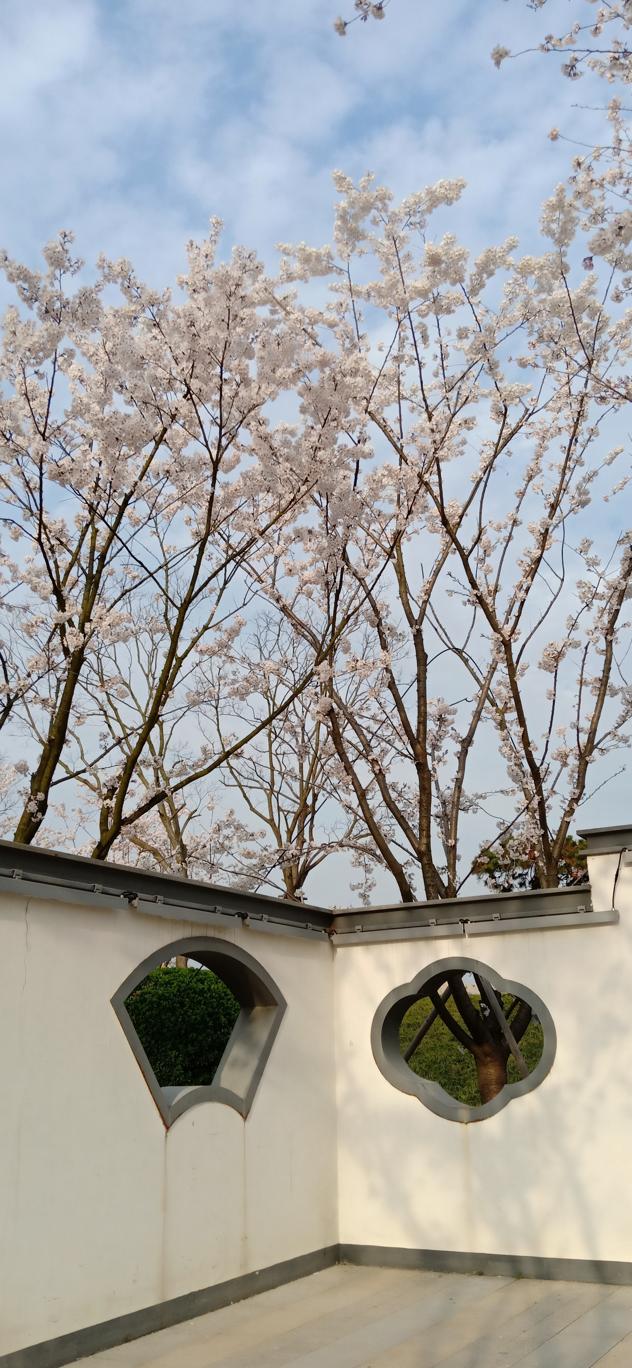 IMG20190326165837.jpg