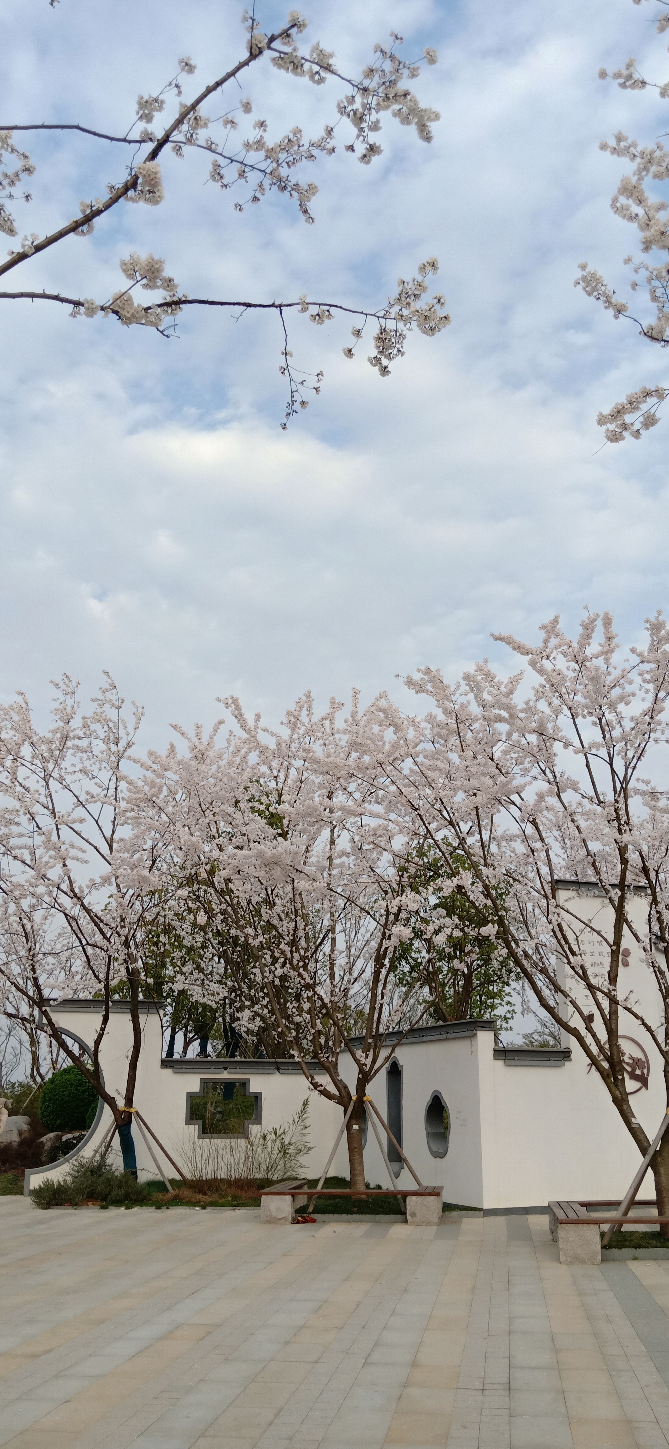 IMG20190326165548.jpg