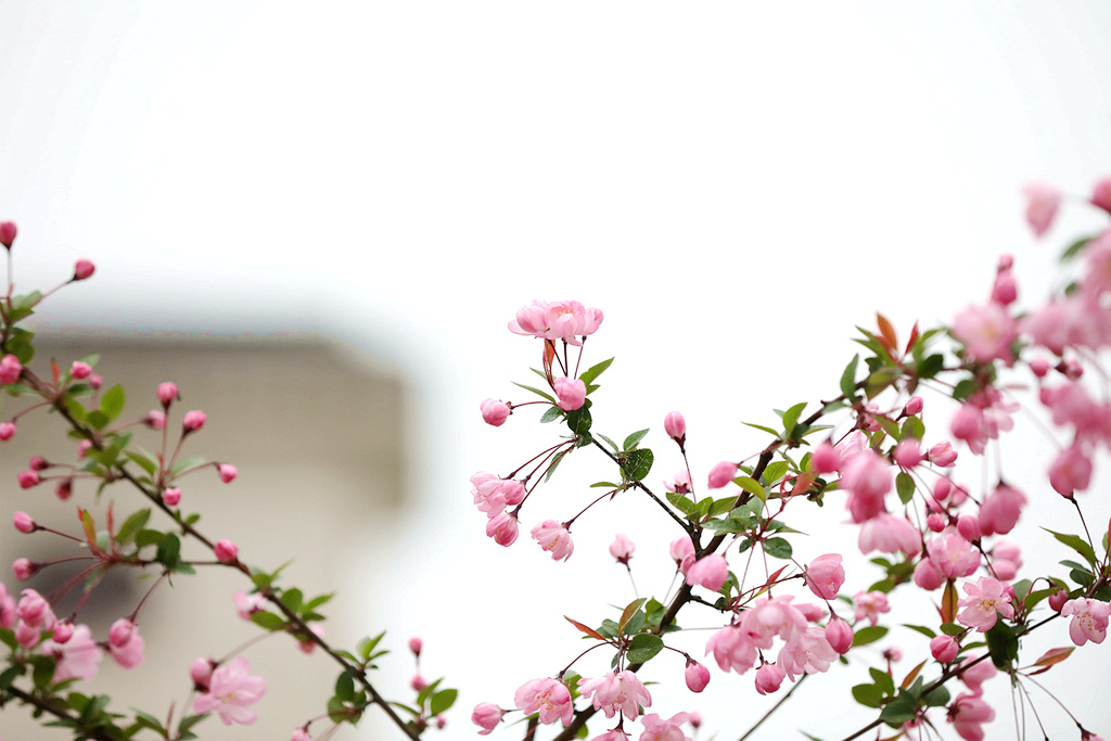 3Y9A0586_副本.jpg