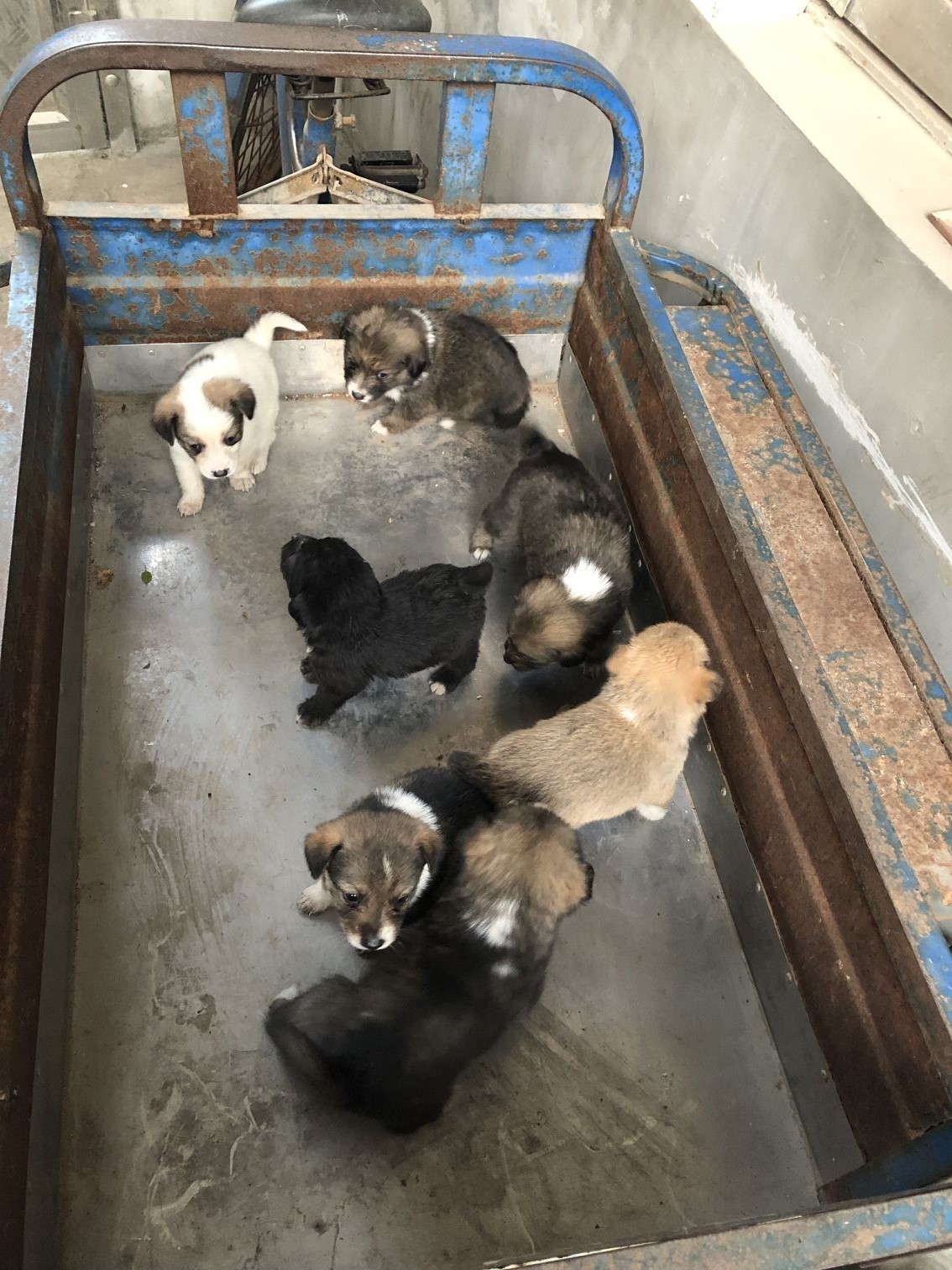 QQ图片20190407130038.jpg