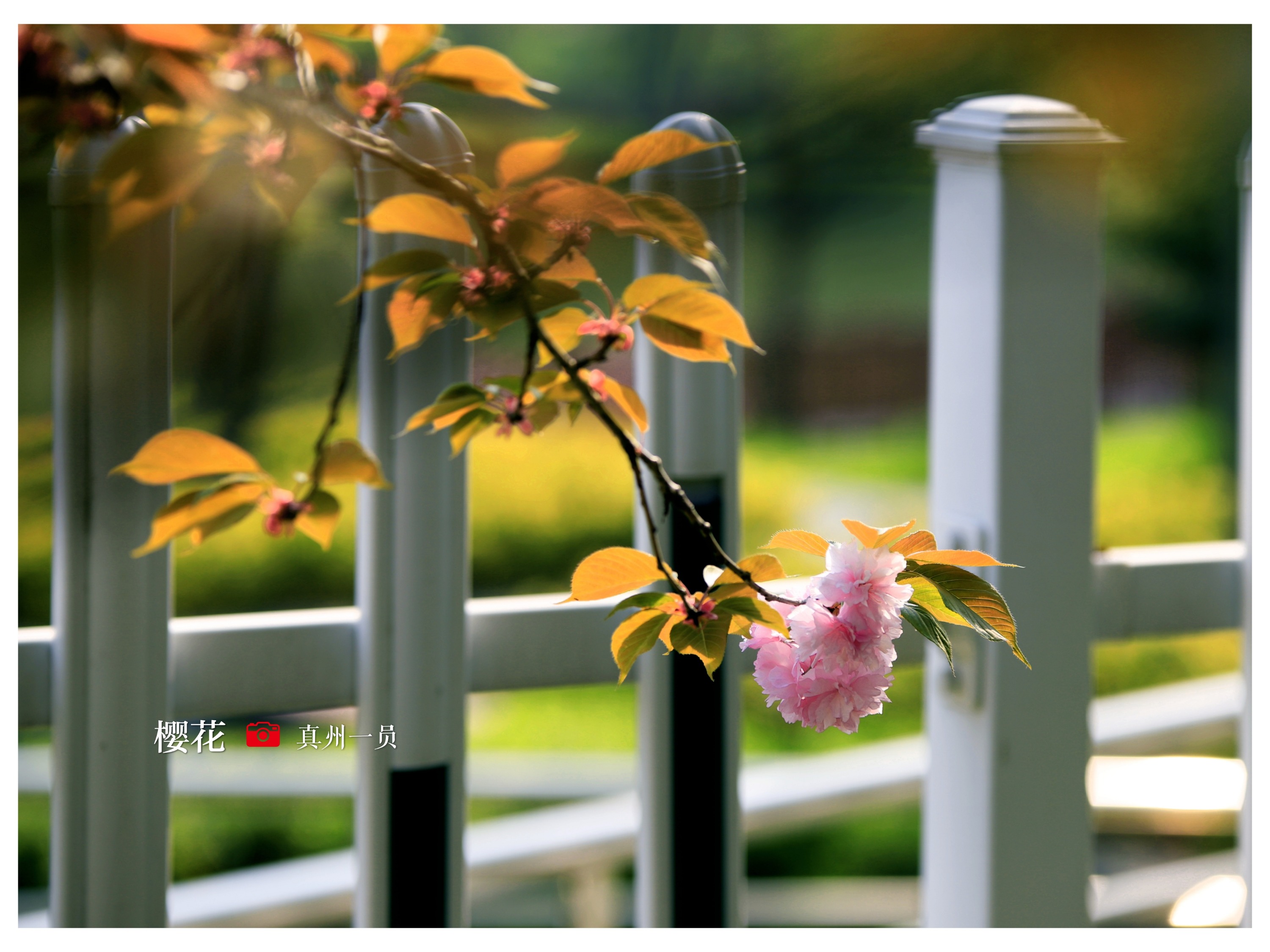 _MG_9577_mix01.jpg