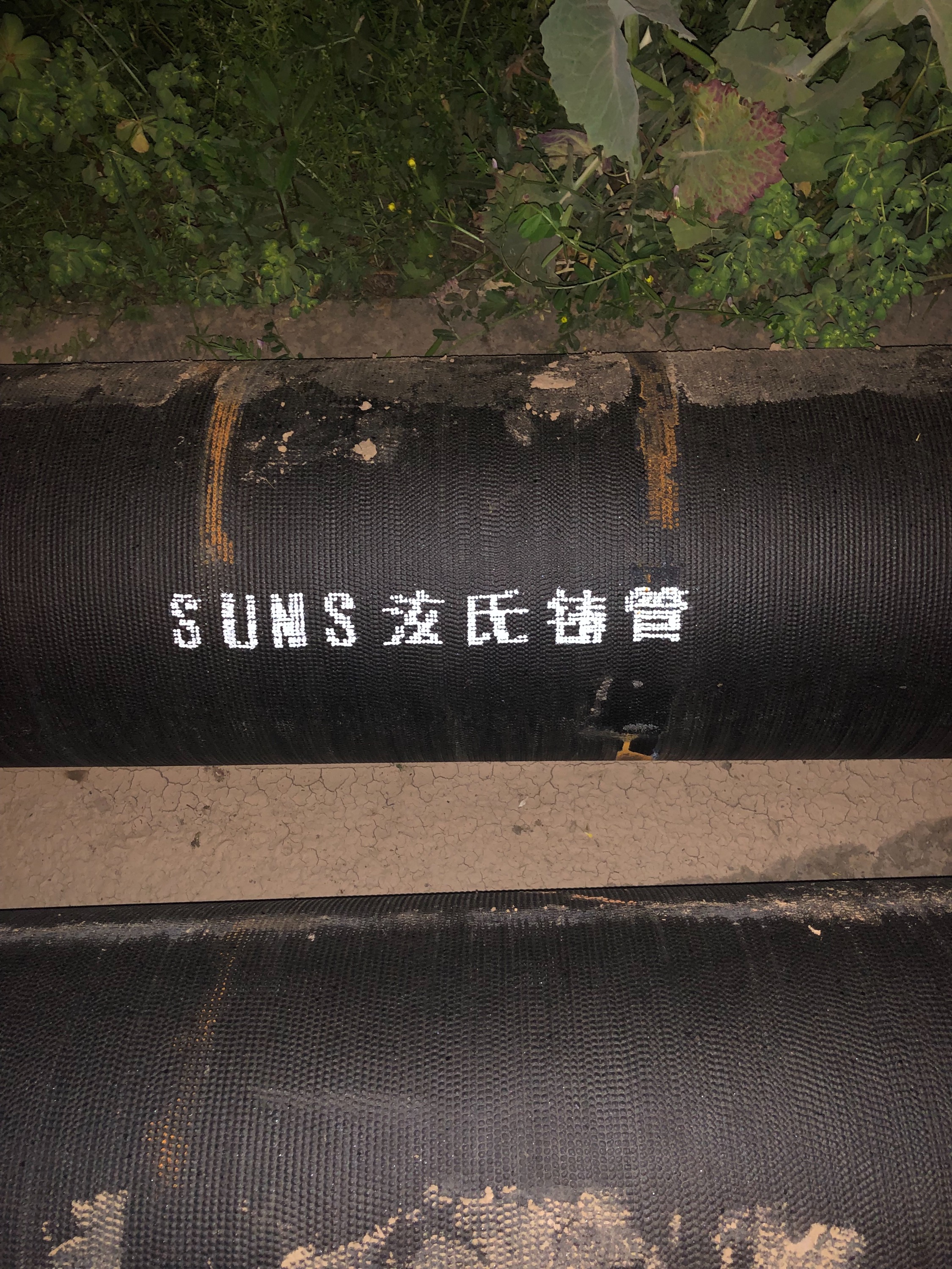 E29375D1-0F71-4F0A-8FA4-3A6877C051A8.jpeg