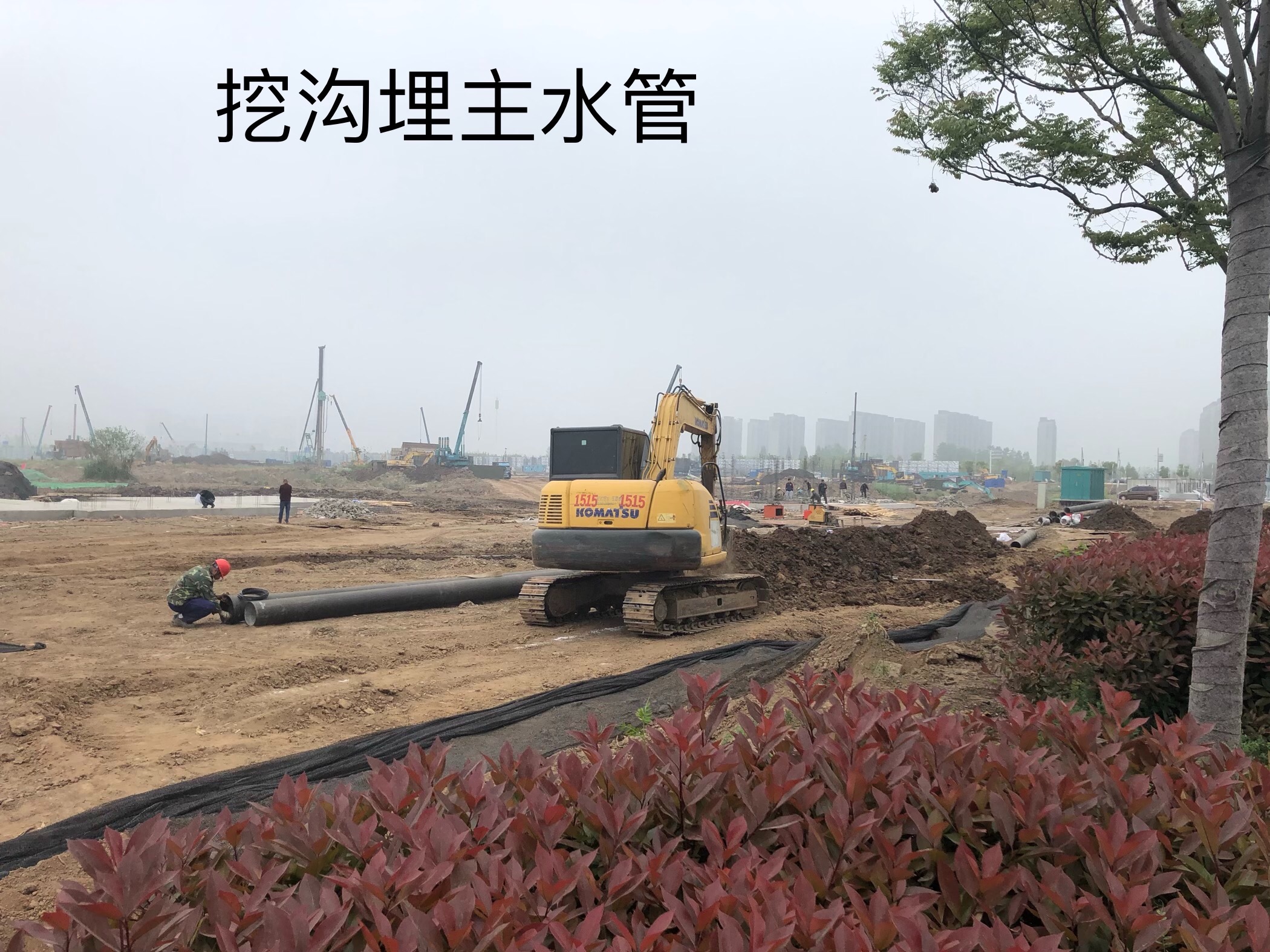 B3278E87-88B7-466F-8B5C-2030A0F5A960.jpeg