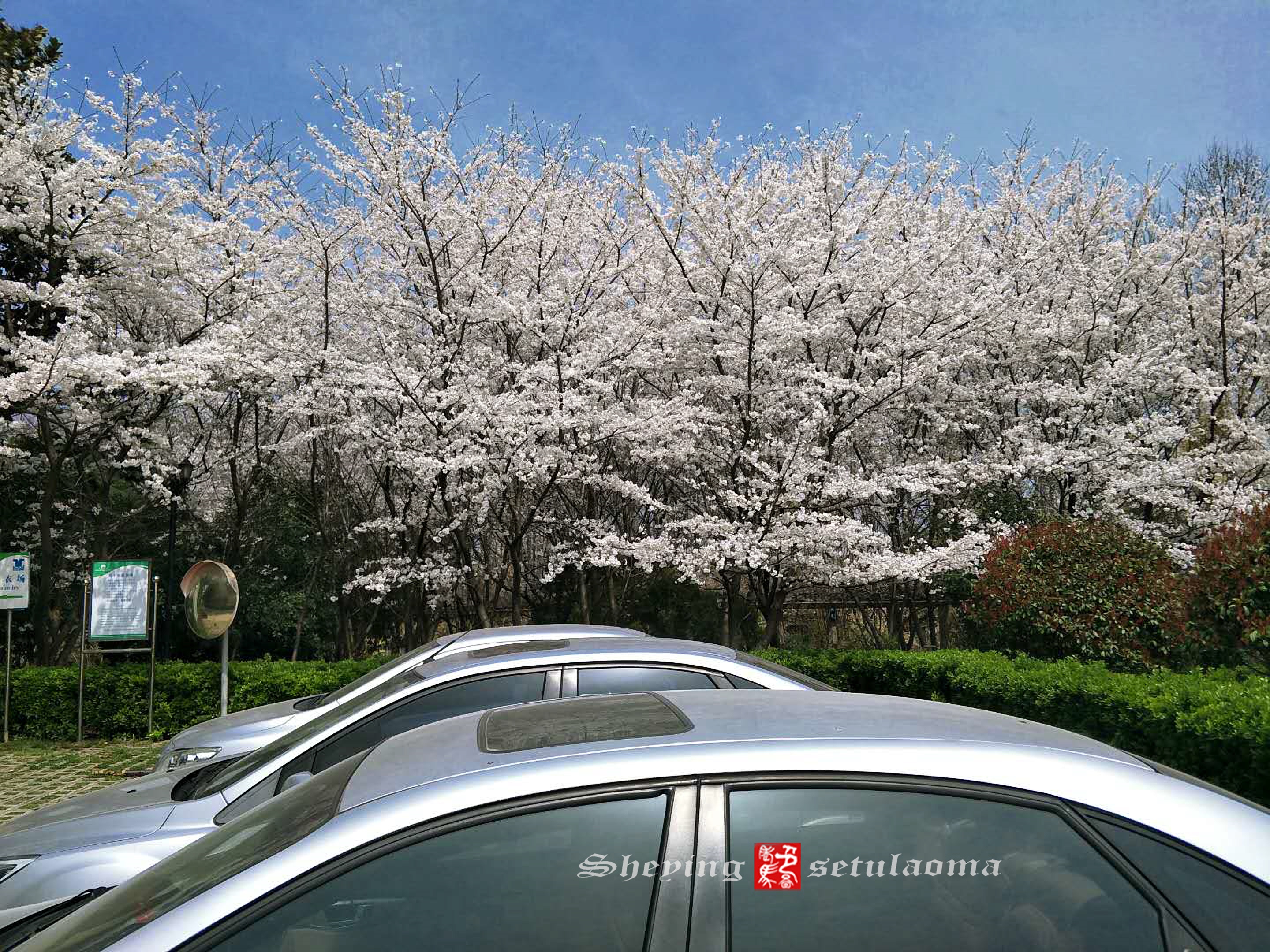 微信图片_20190501233904.jpg