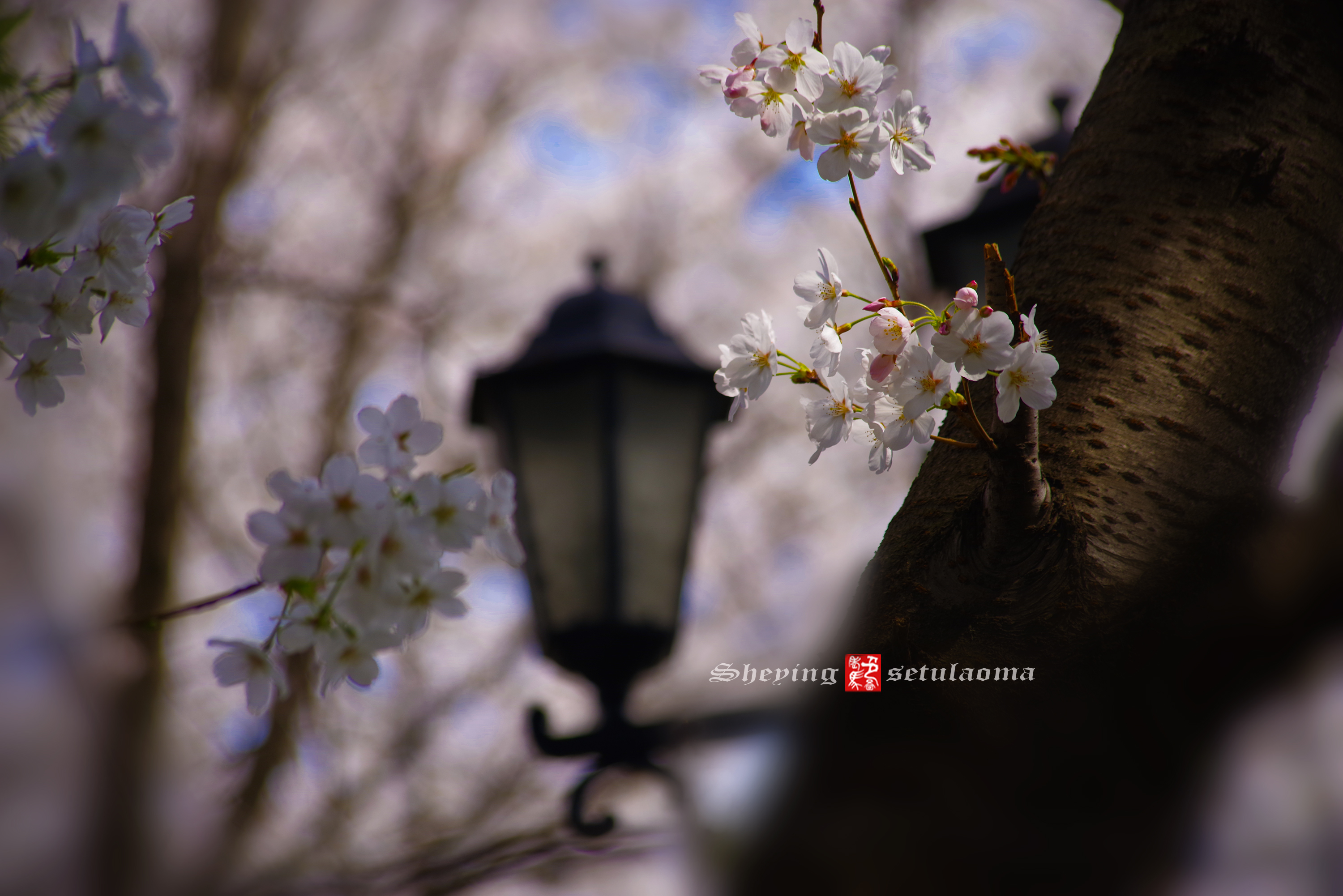 3712deea4ea8341a0e6cf6c3abe23a3.jpg