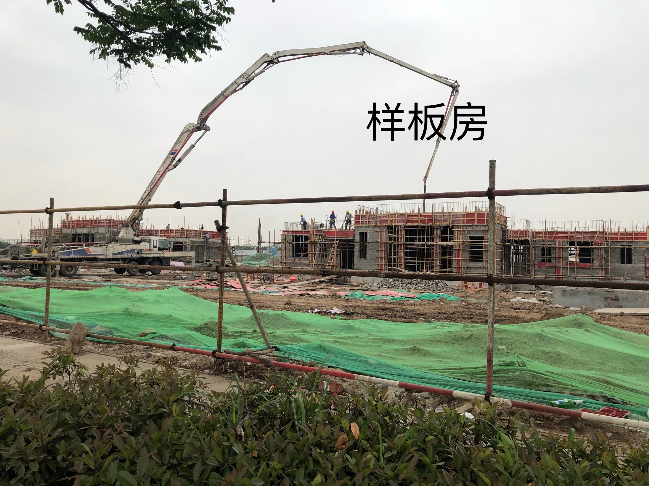 F2ED30B4-8462-404E-A91E-7D189A147EBE.jpeg