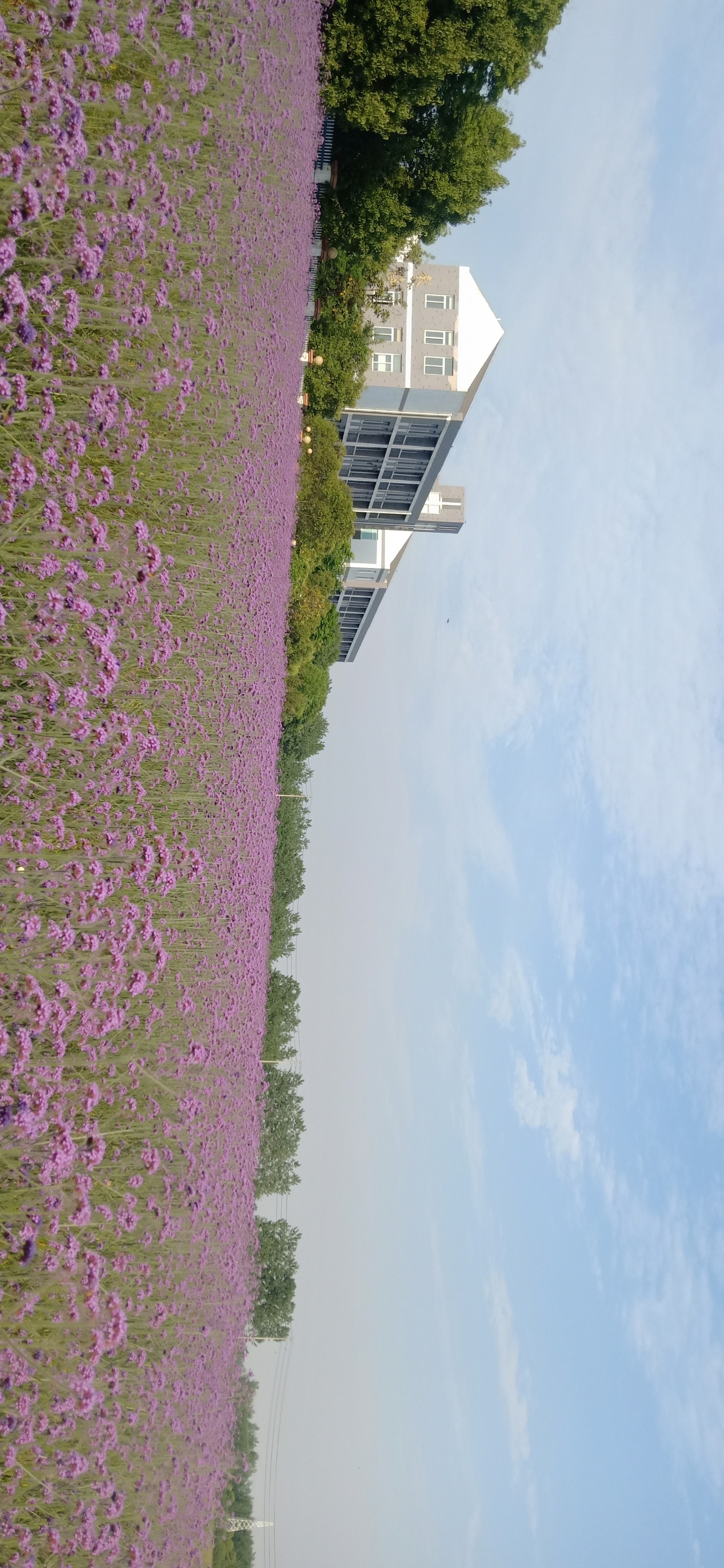 IMG20190521164254.jpg