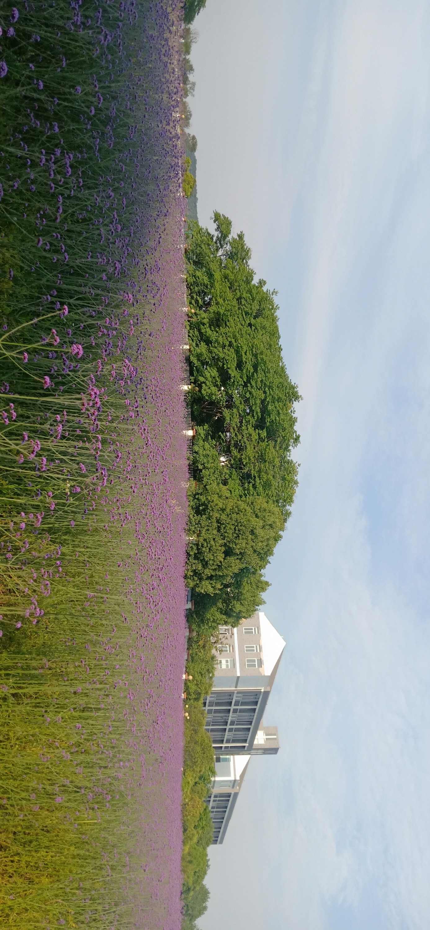IMG20190521164227.jpg