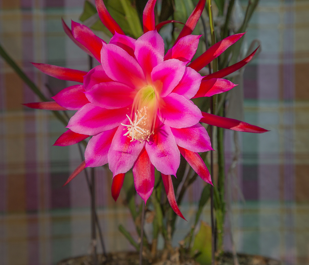 4G7A2928.jpg
