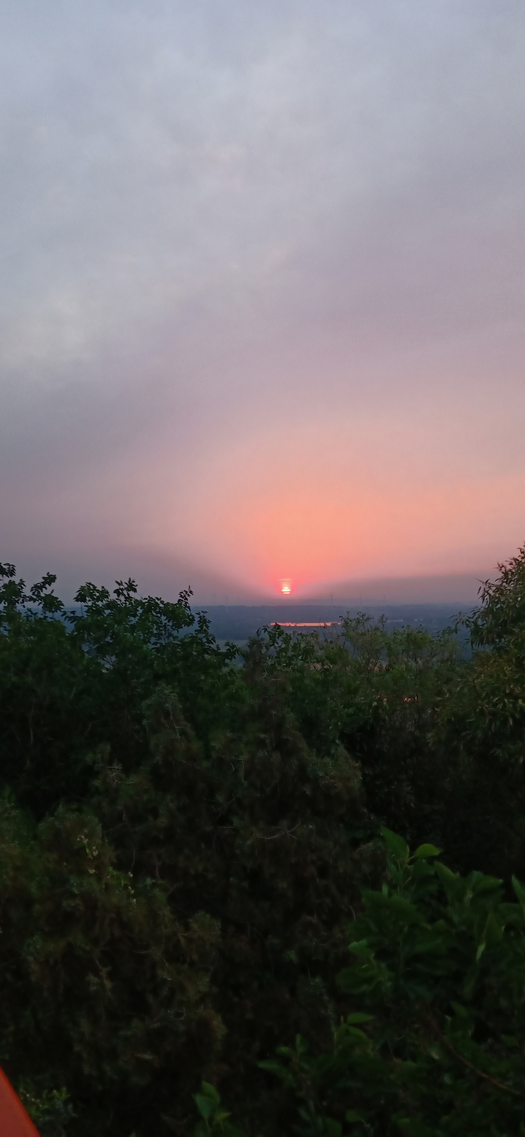 IMG20190521185419.jpg