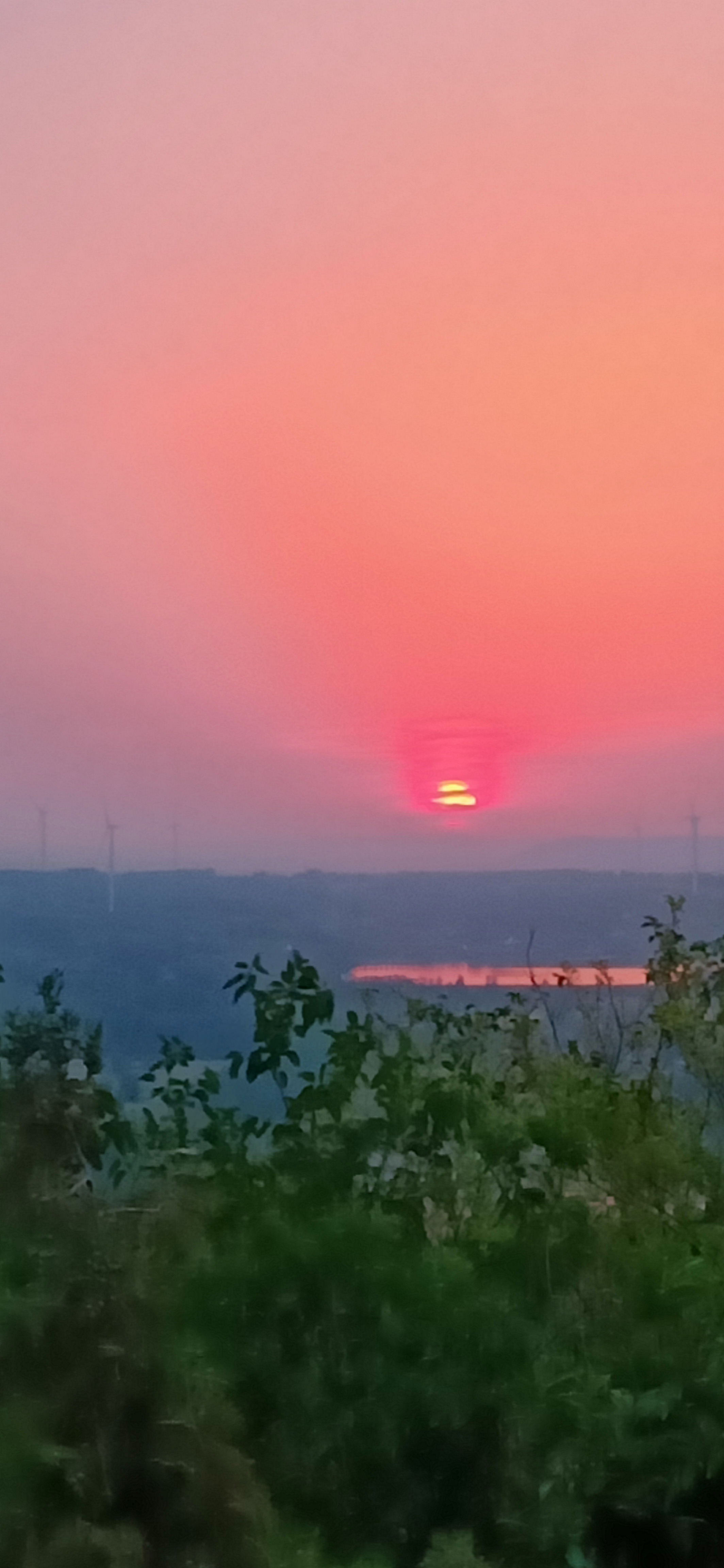IMG20190521185516.jpg