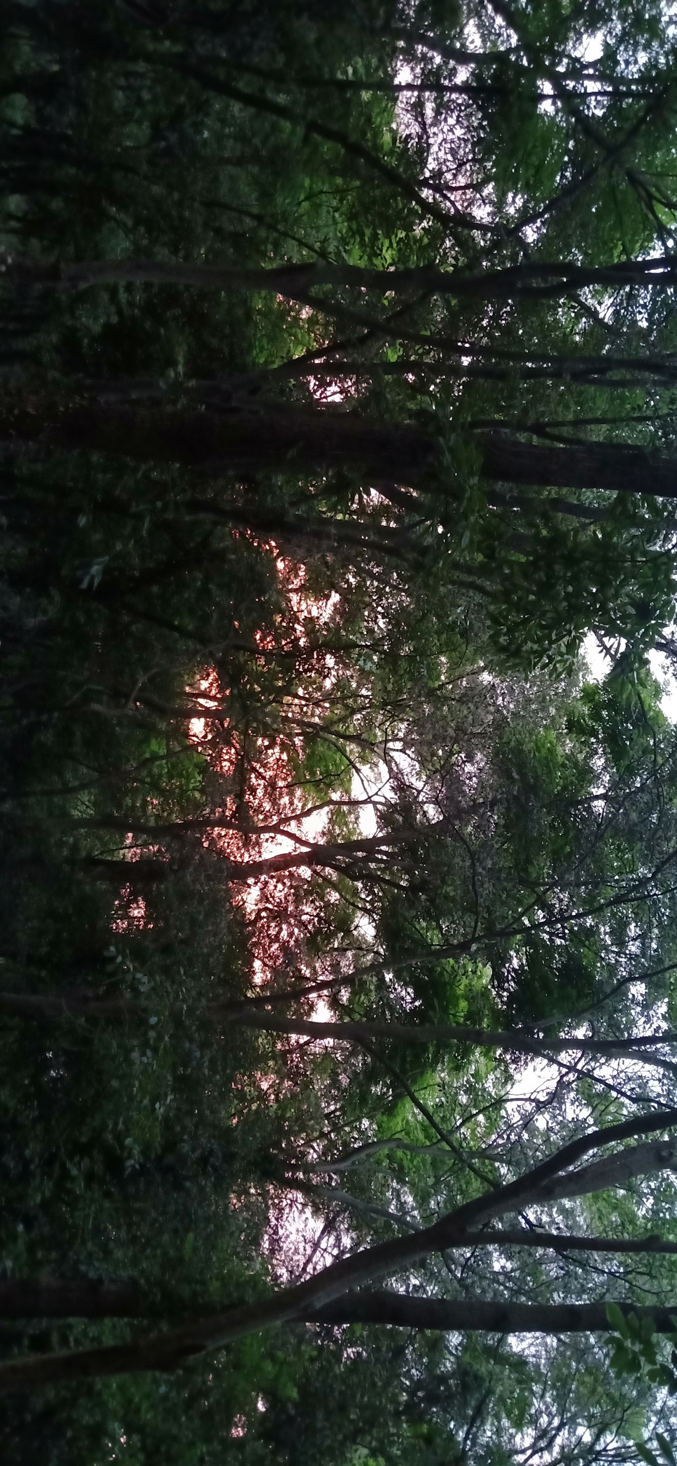IMG20190521190349.jpg