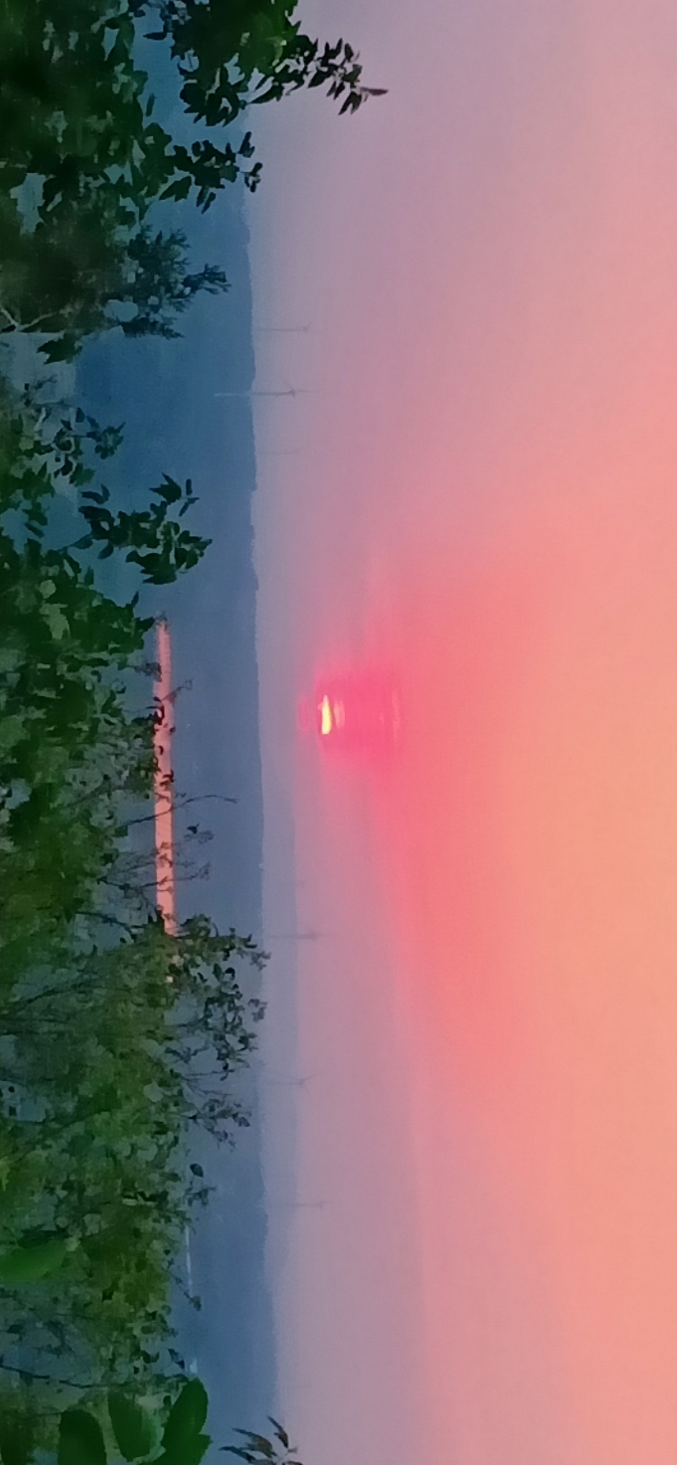IMG20190521185534.jpg