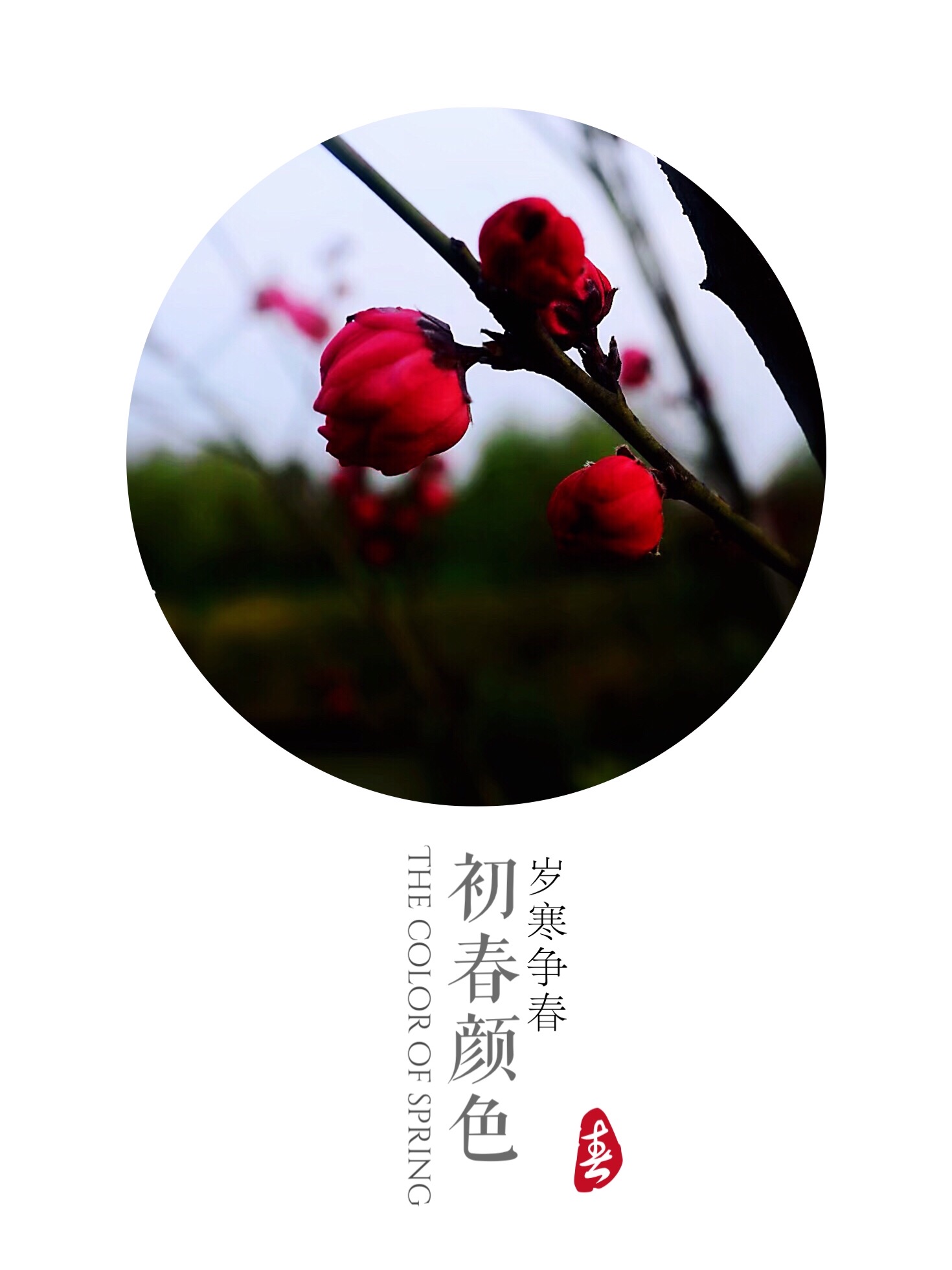 7316BFEB-E6CE-44E9-B5DA-C60B5472CB38.jpeg