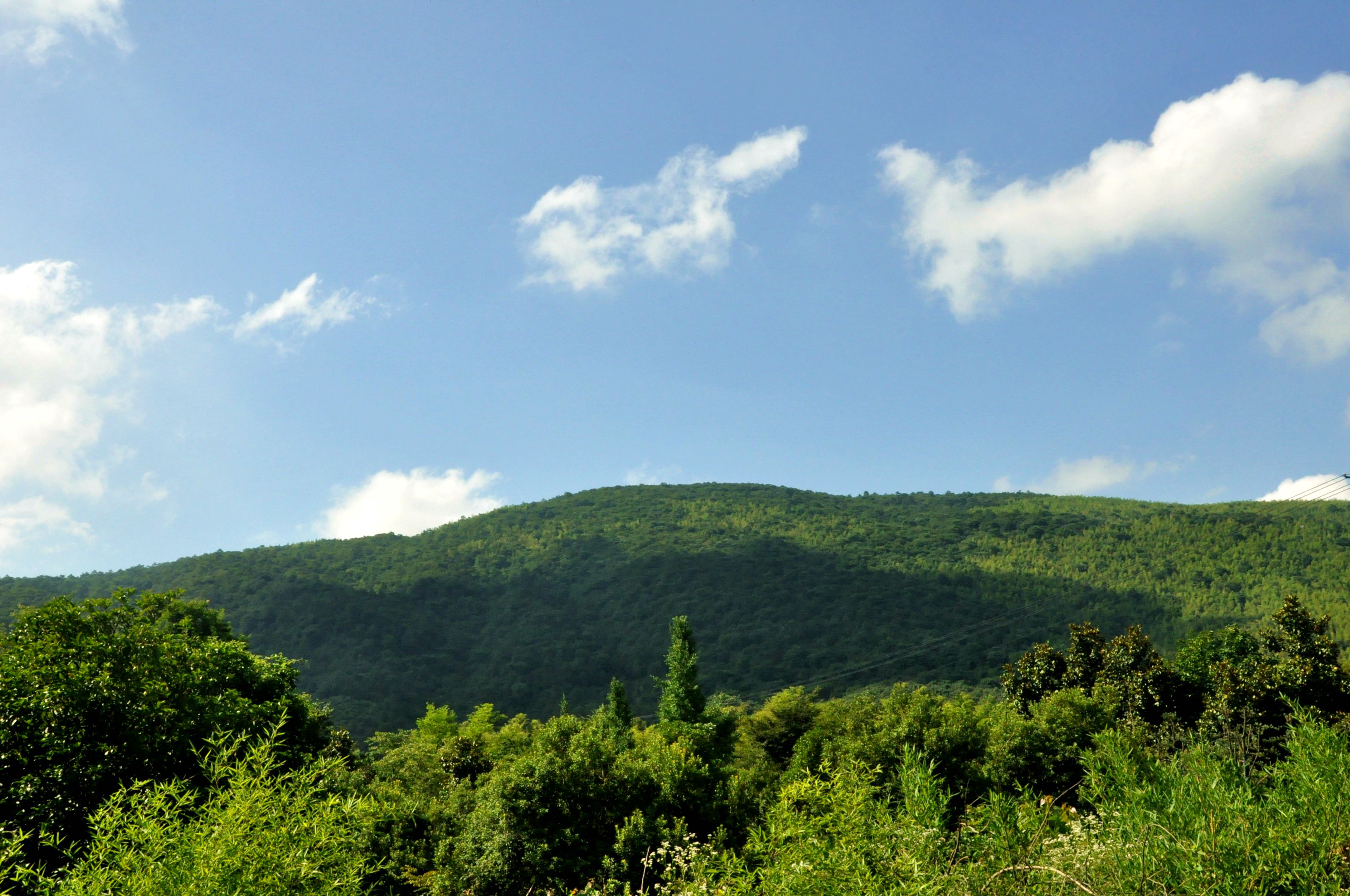 宜兴 085.jpg