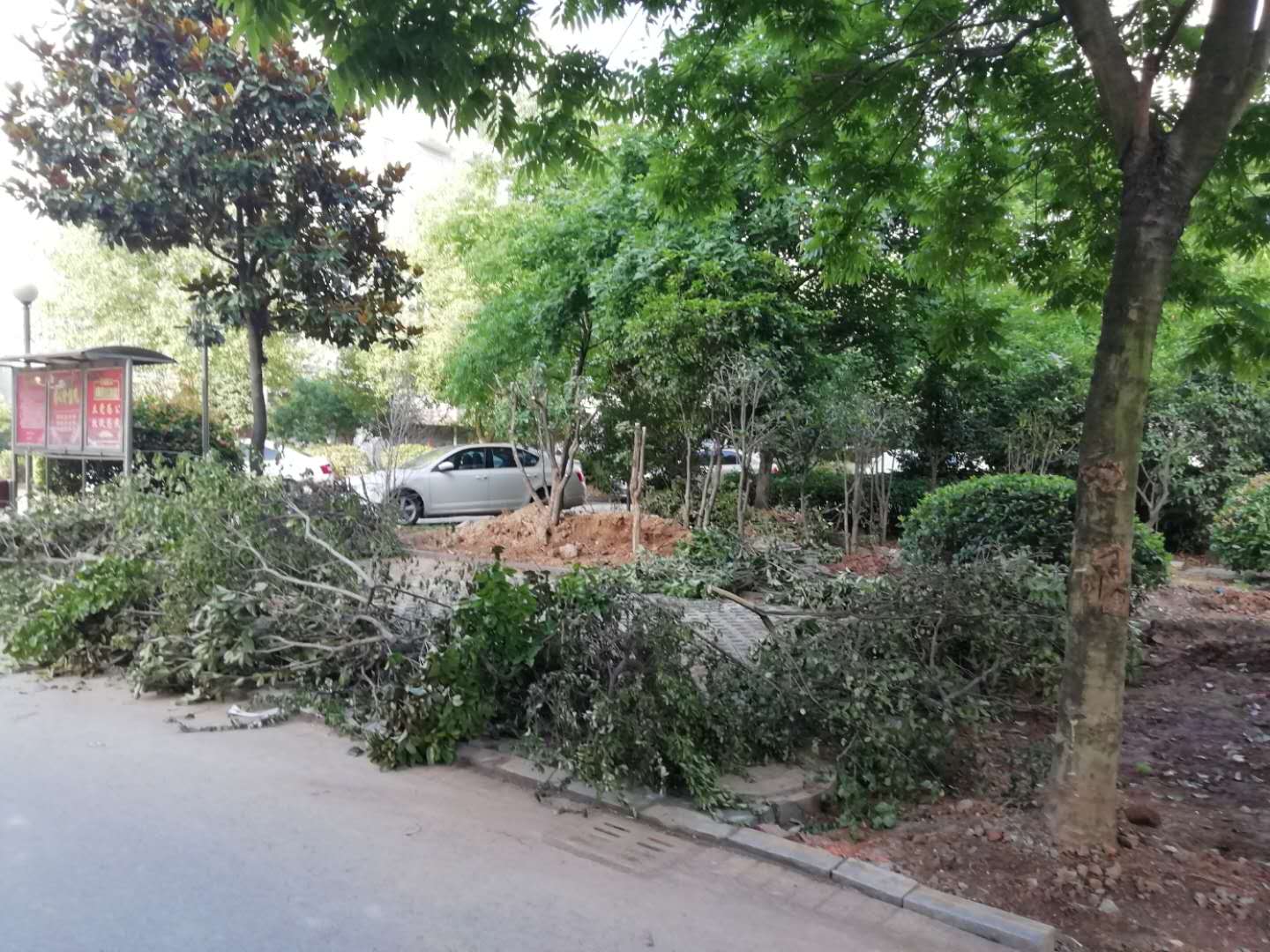 微信图片_20190623113759.jpg