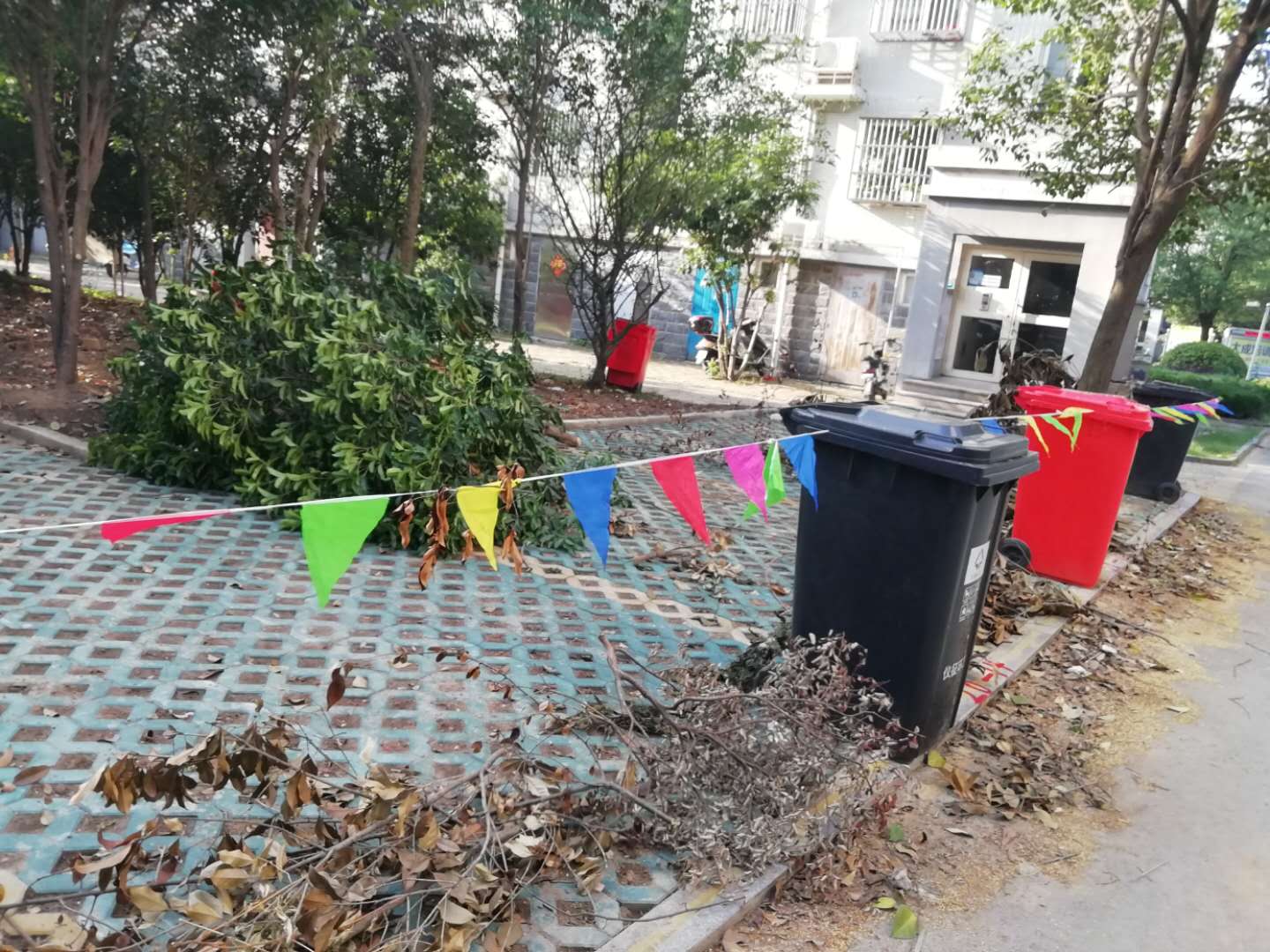 微信图片_20190623113804.jpg