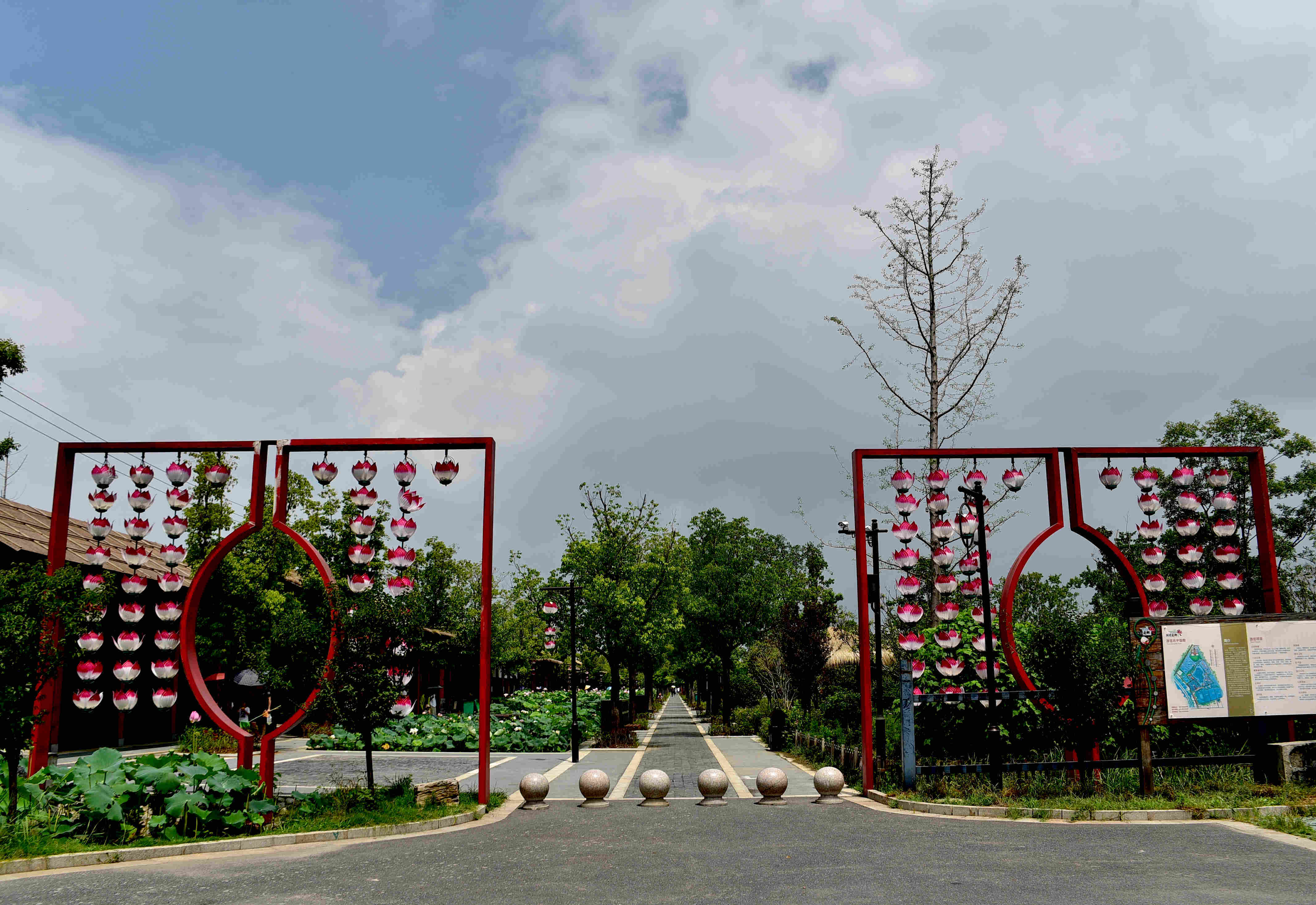 DSC_2567 g.jpg