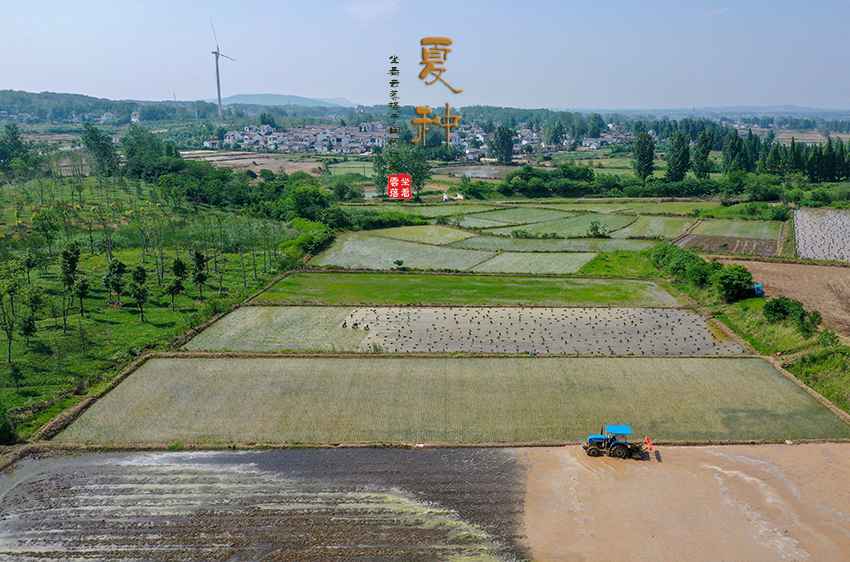 DJI_0608.jpg