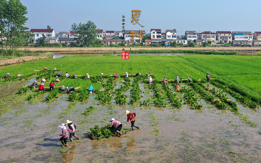 DJI_0743.jpg