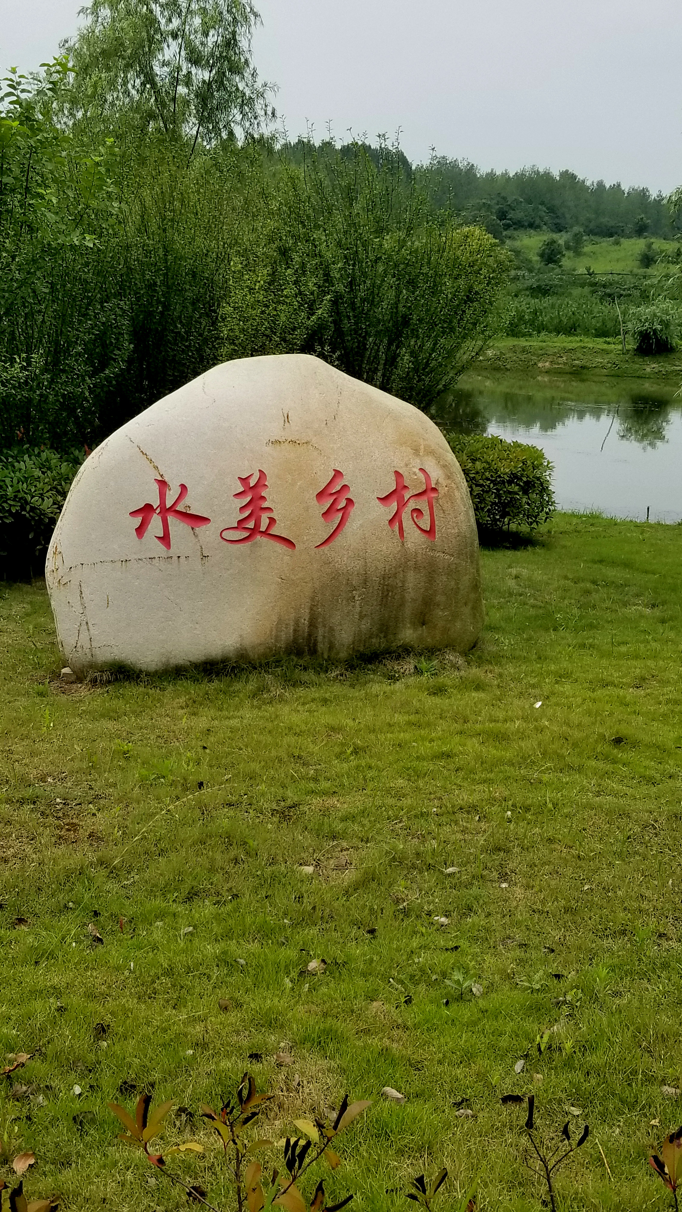 20190630_120417.jpg