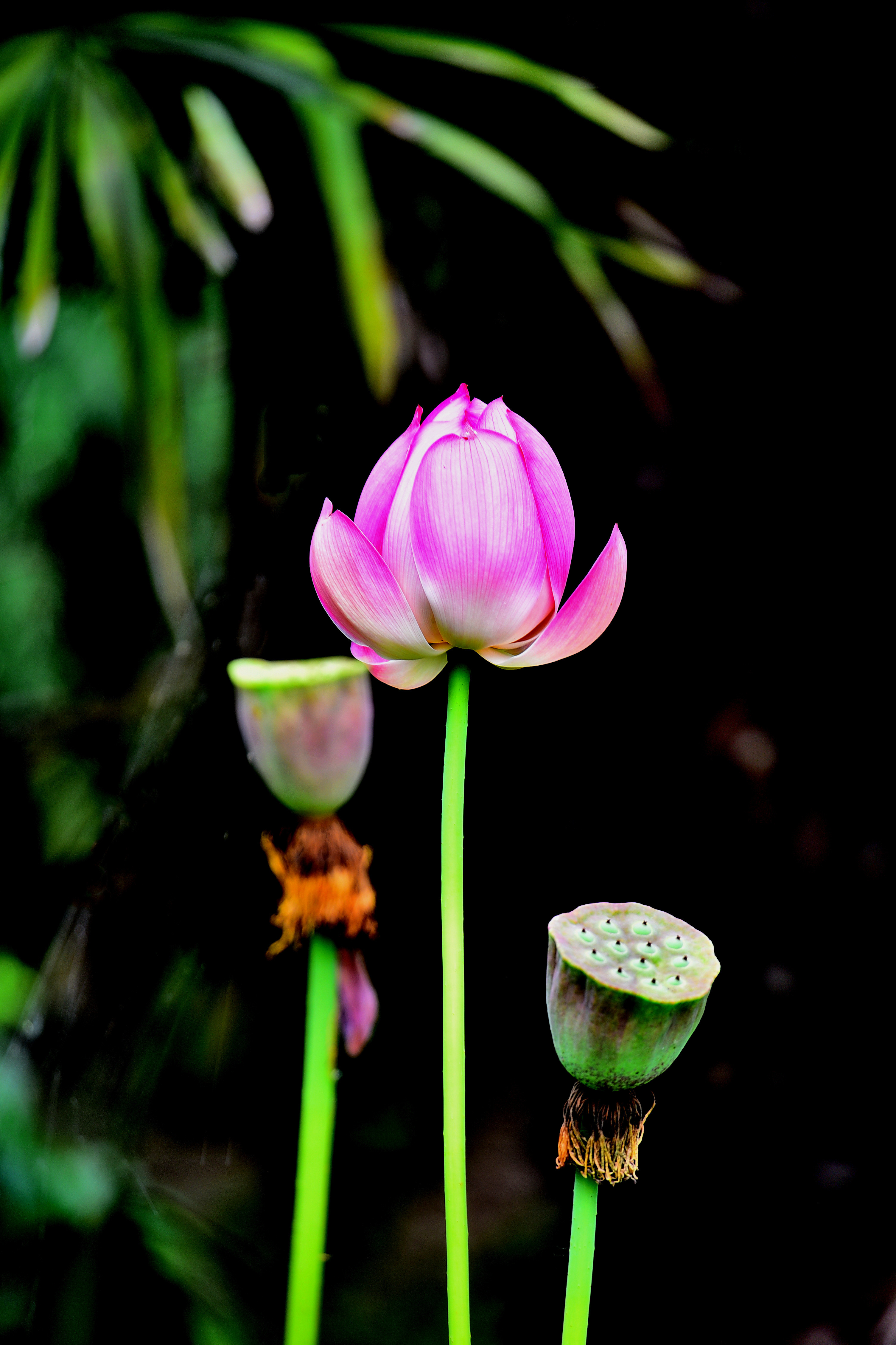 DSC_3316 n 23.jpg