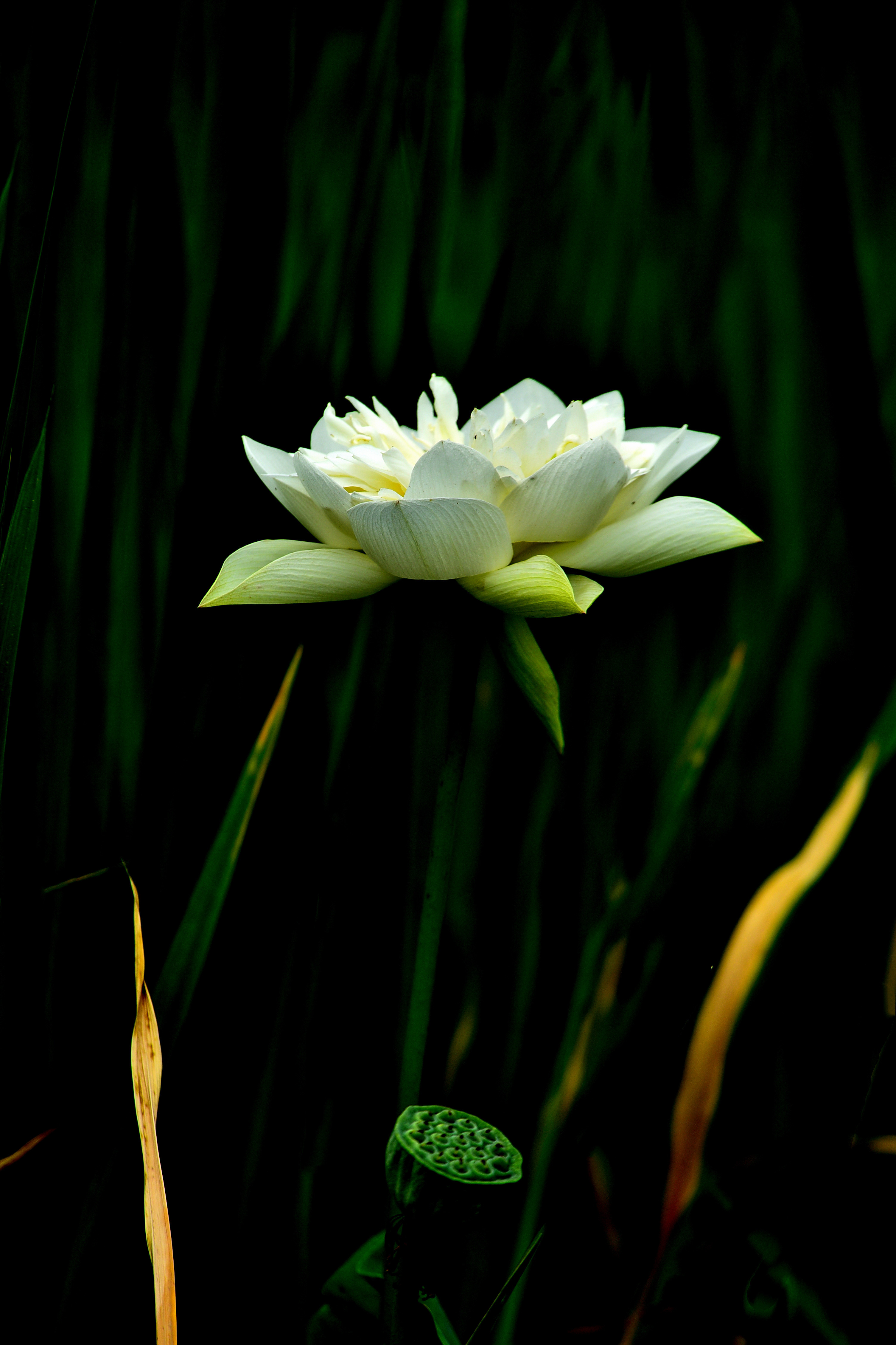 DSC_3347 n 2.jpg