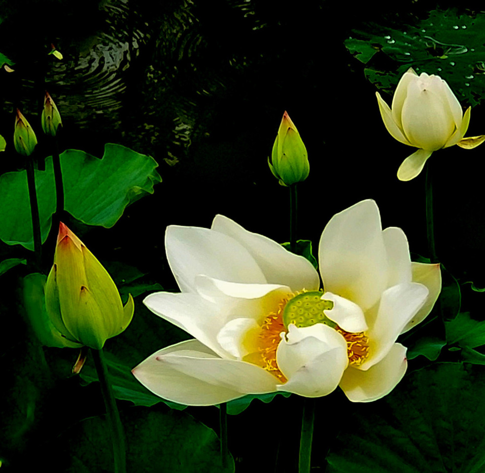 20190630_123239 n_副本23.jpg
