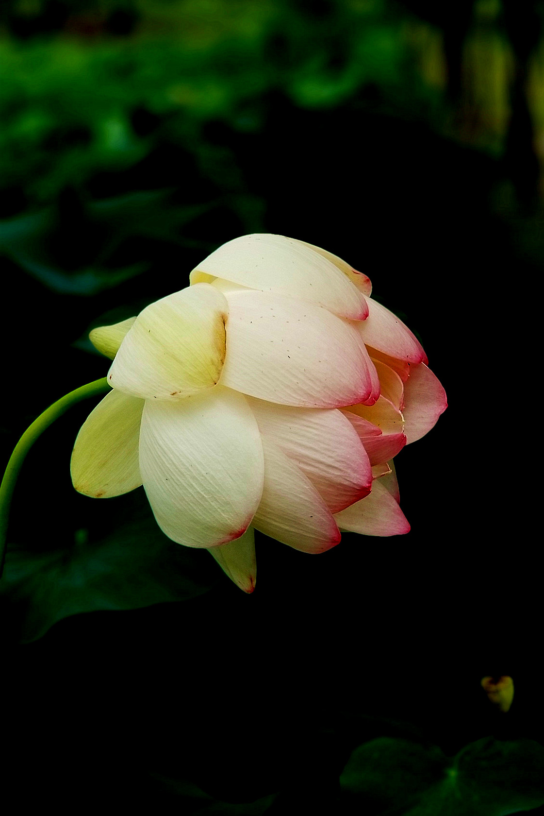 20190630_132457_副本2.jpg