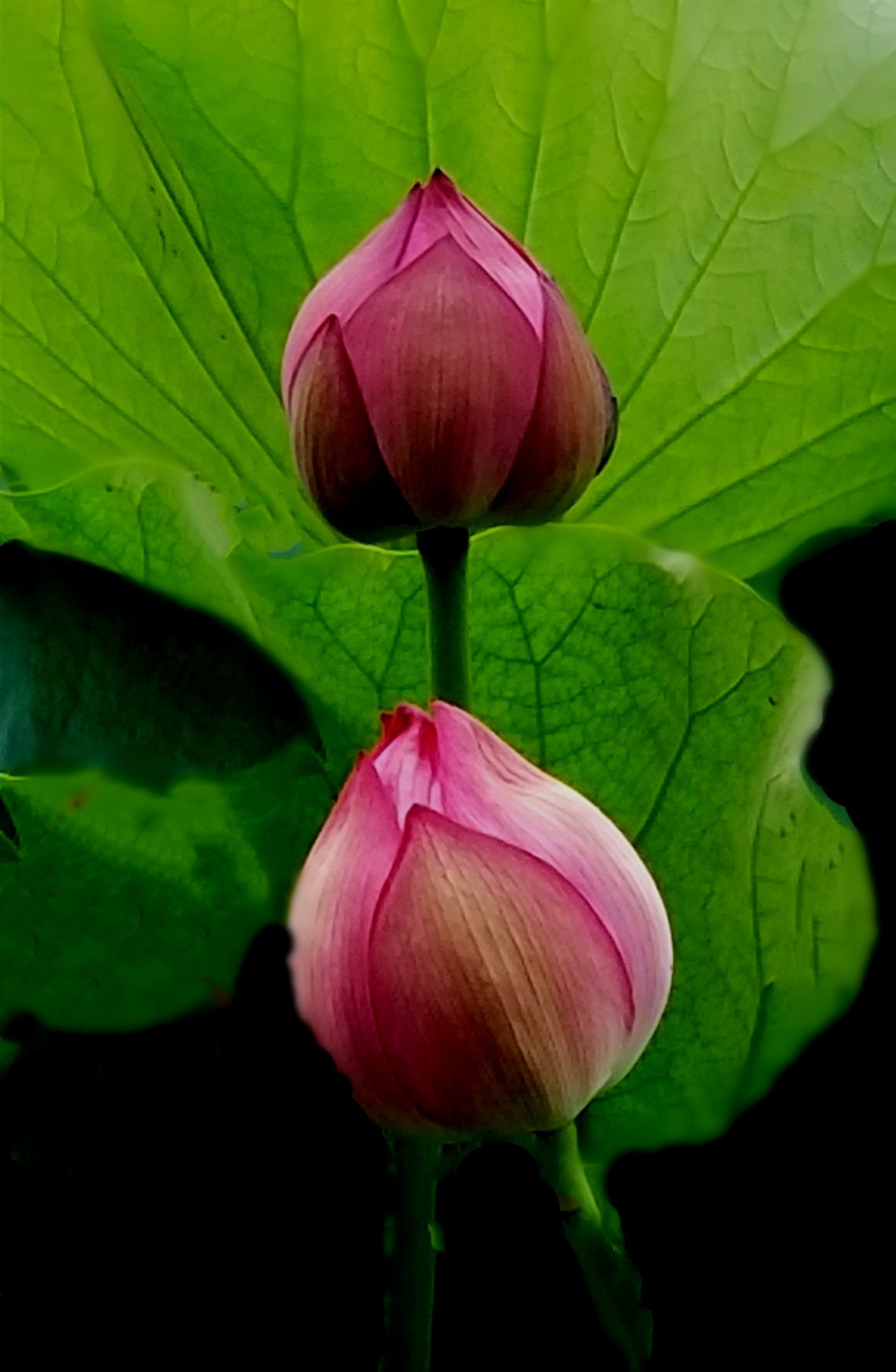20190630_133336 m23.jpg