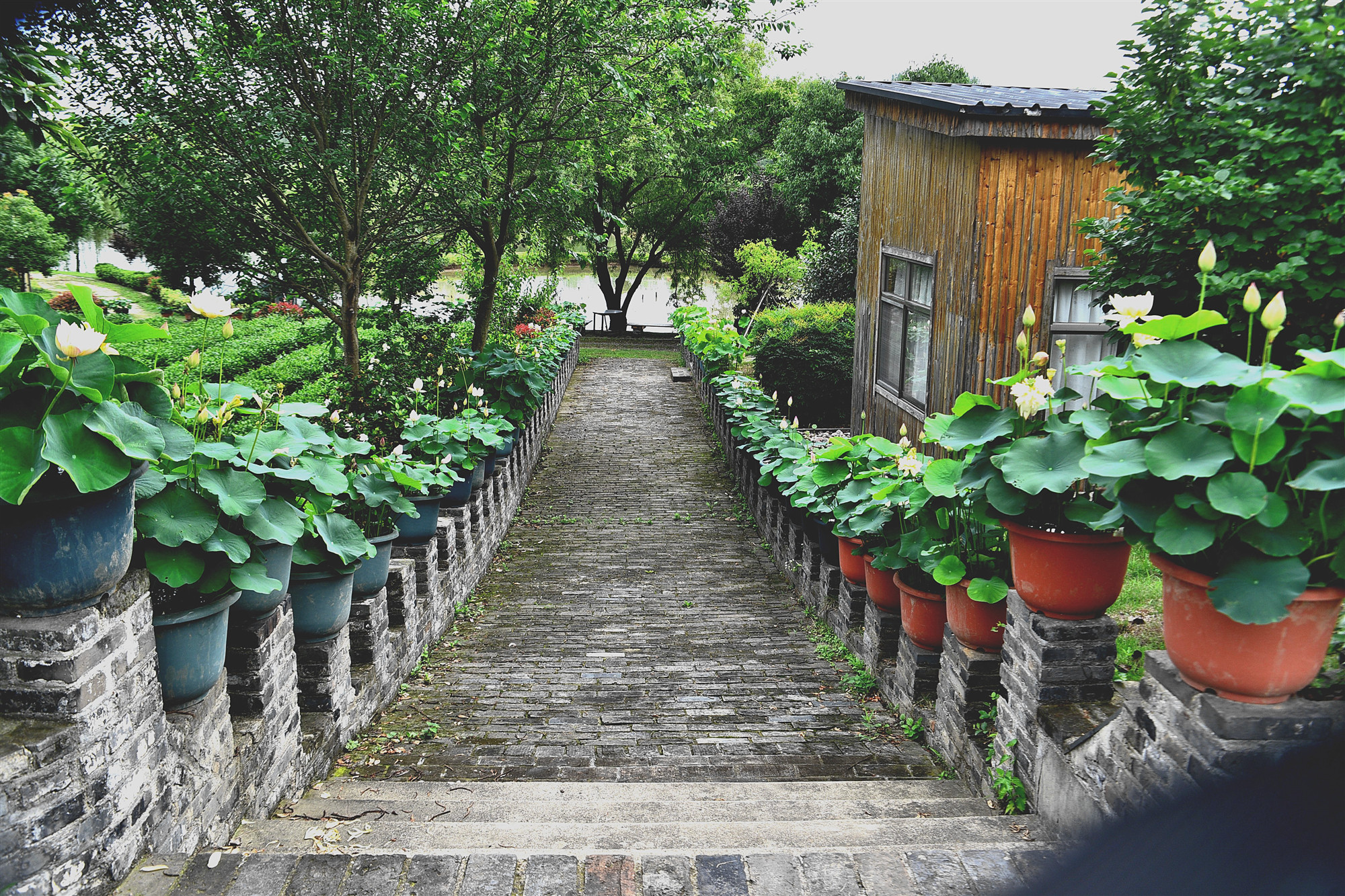 DSC_3330 n_副本_副本2.jpg