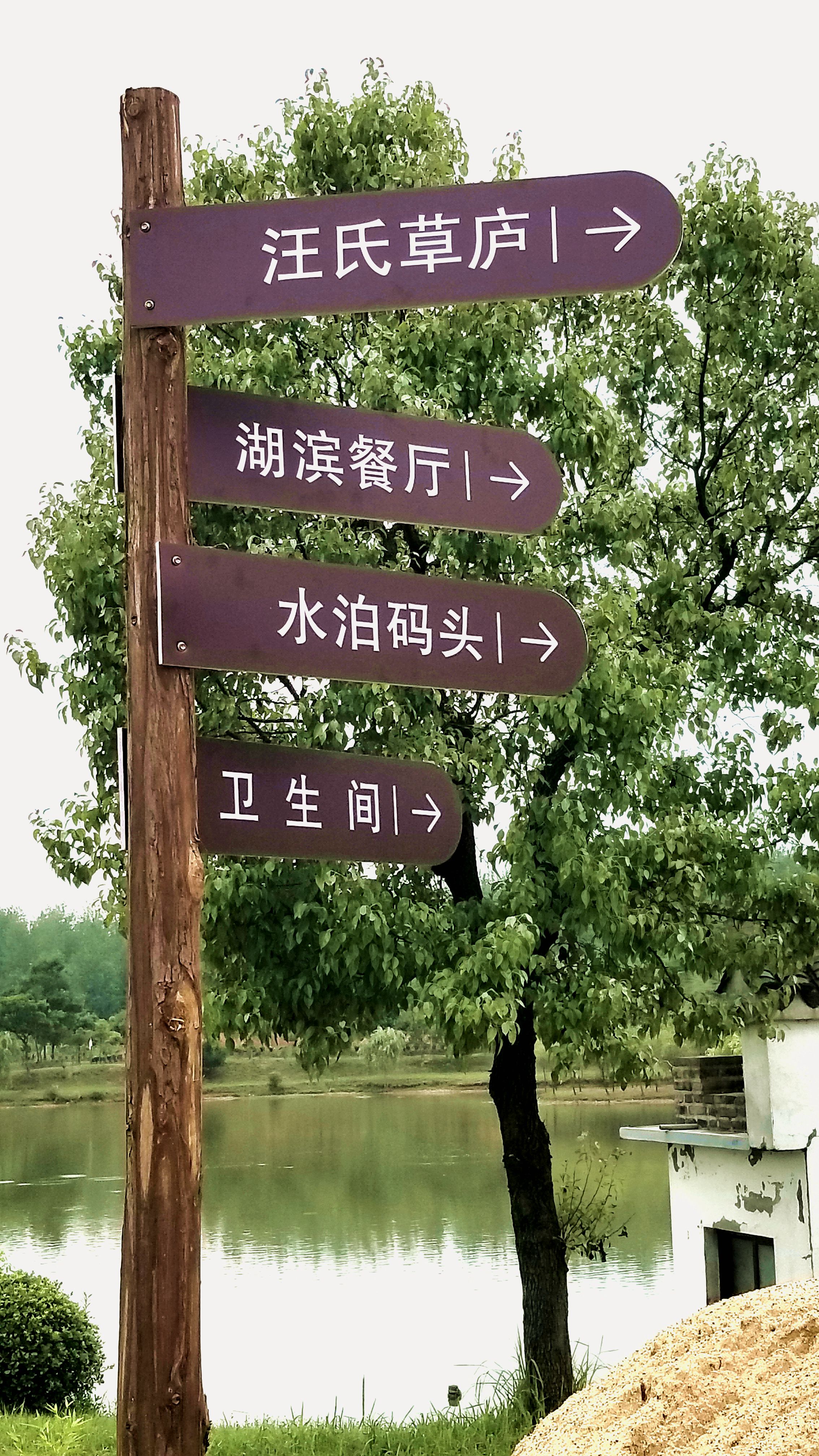 20190630_152720_副本.jpg