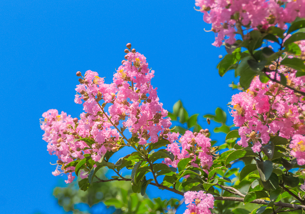 DSC08405.jpg