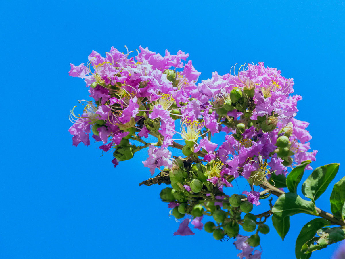 DSC08443.jpg