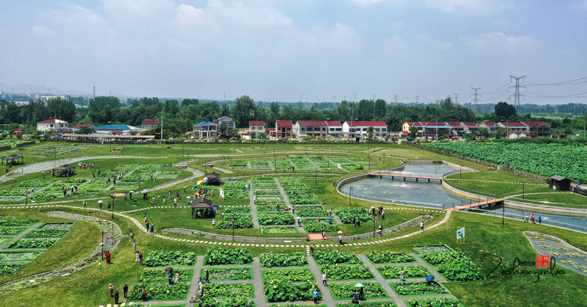 DJI_0949.jpg