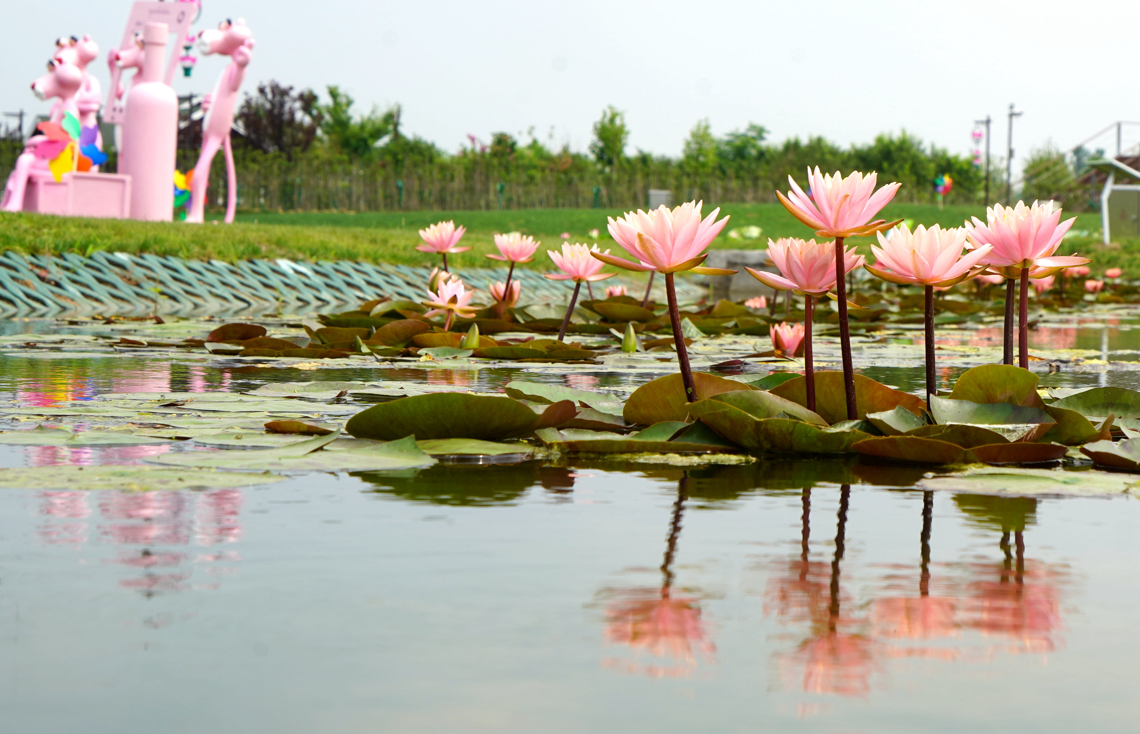 DSC09457_仓桥.jpg
